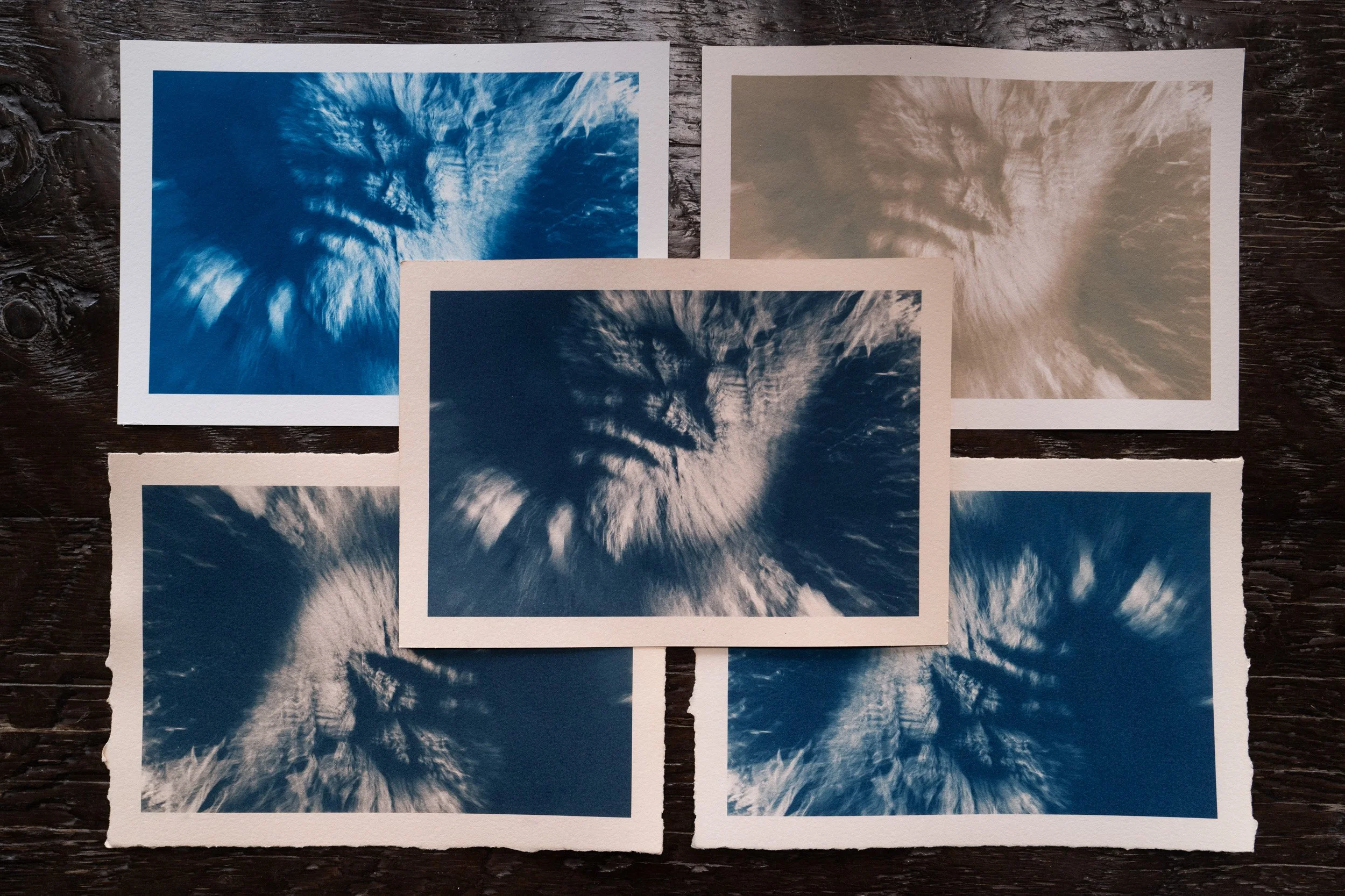 Cyanotype prints with tonal variations produced through toning from the Wuduland series.