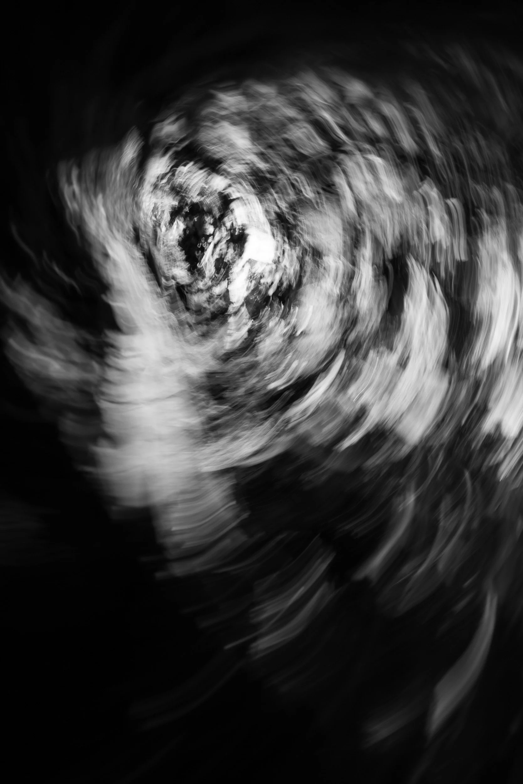 Black-and-white photograph from the Wuduland series, depicting a natural environment with soft motion blur and high-contrast light.