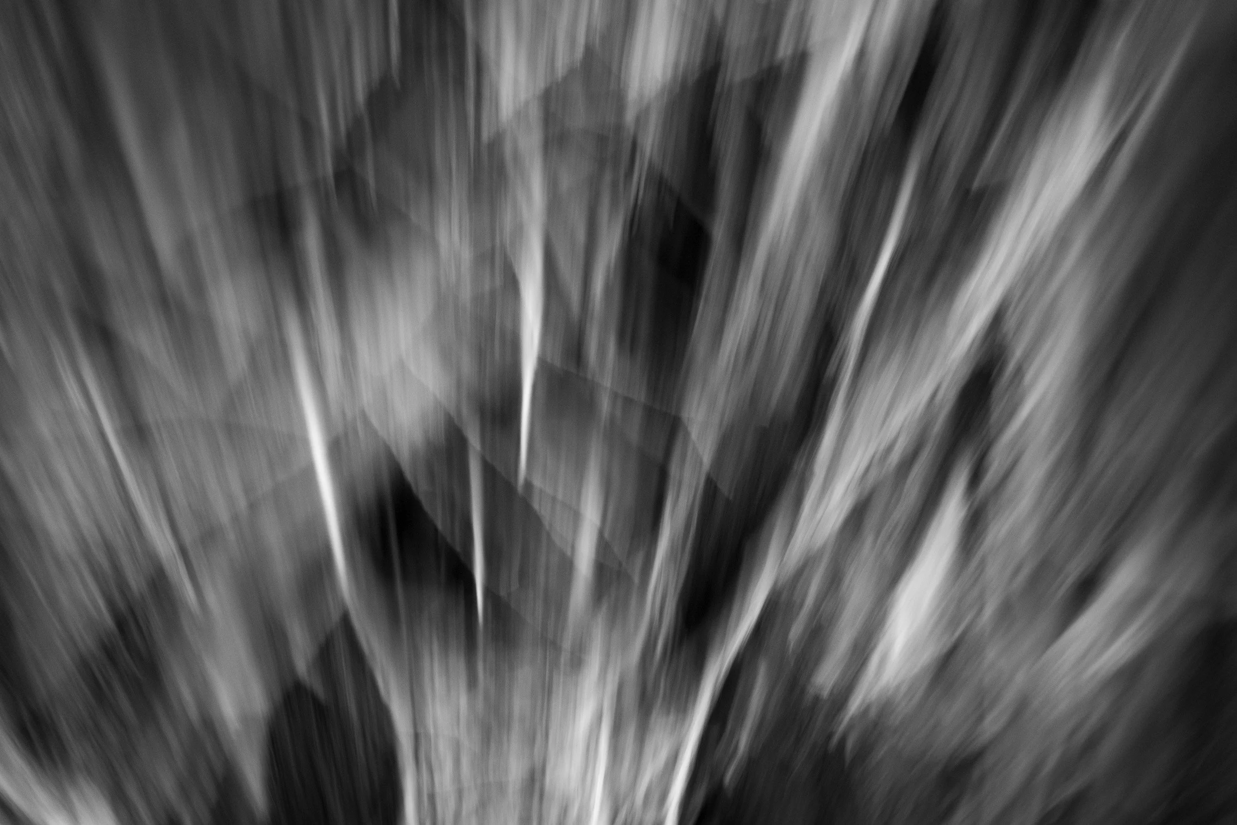 Black-and-white experimental photograph from the Wuduland series.