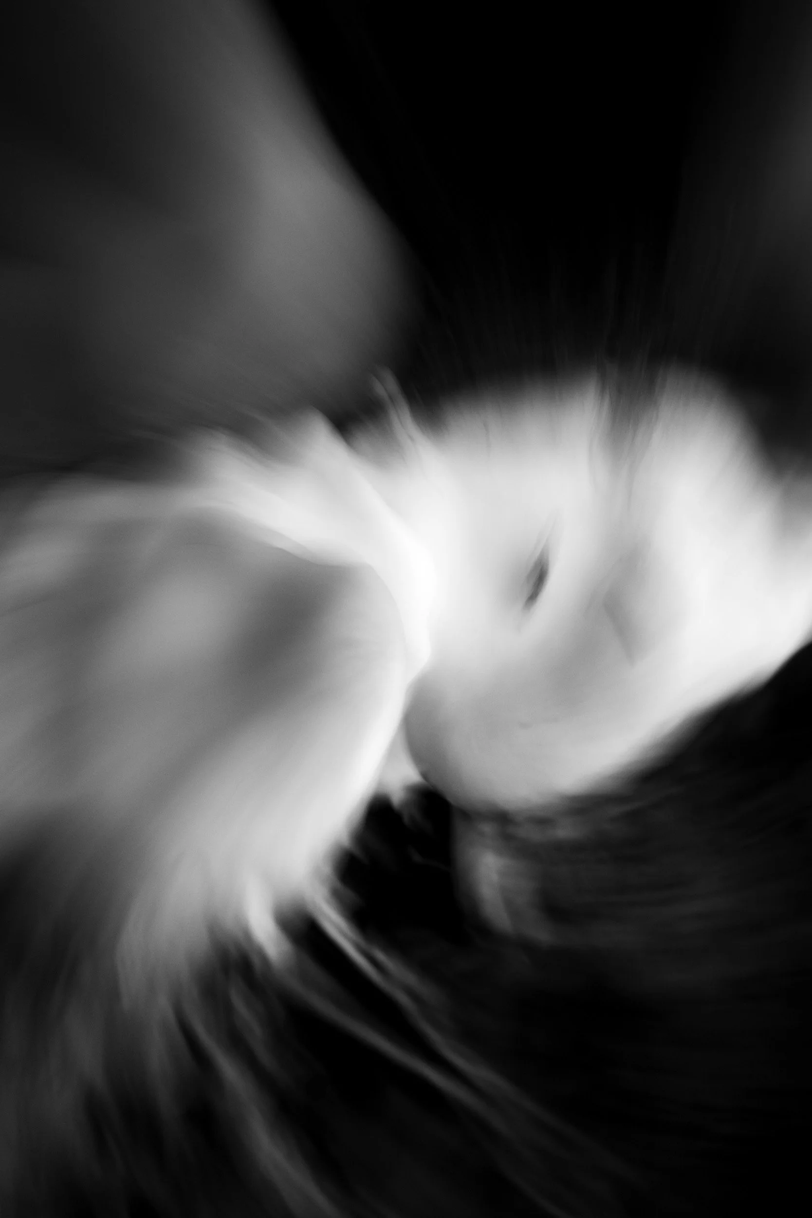 Black-and-white experimental photograph from the Wuduland series.