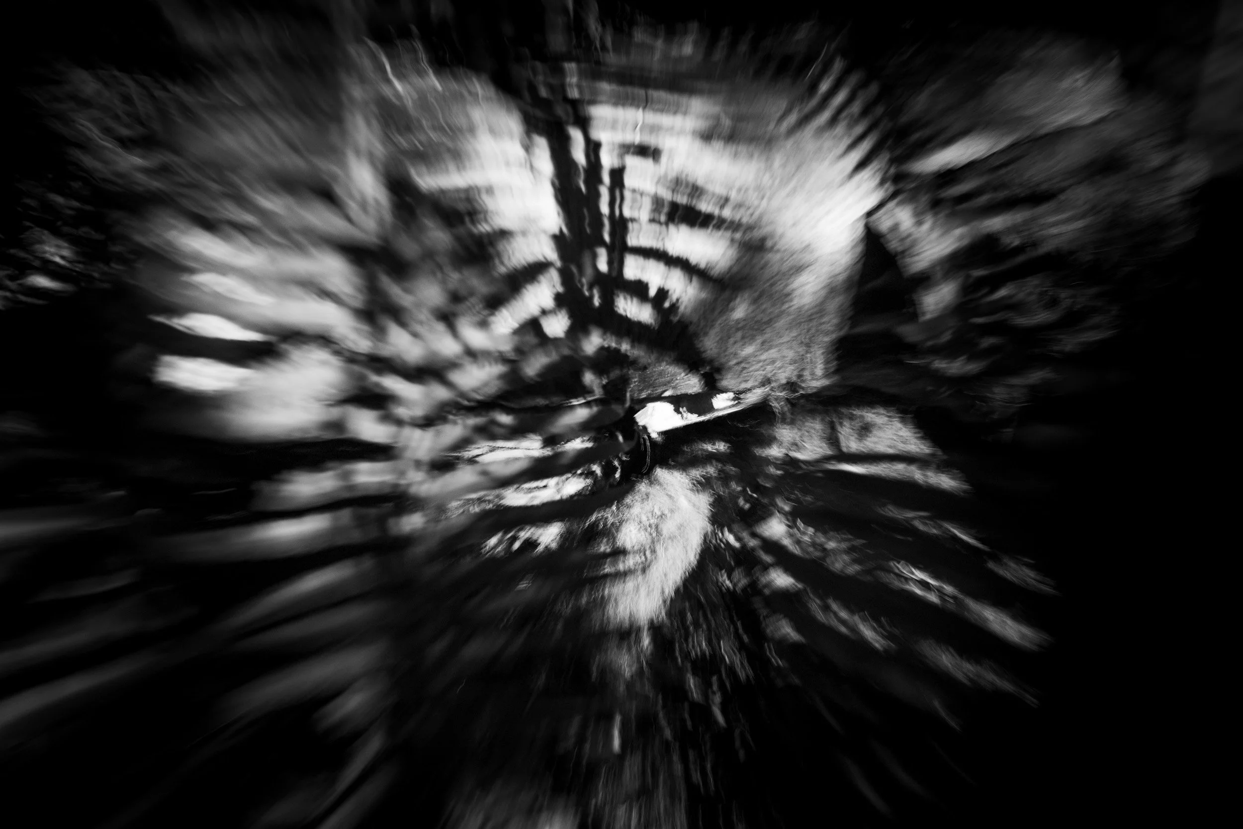 Black-and-white photograph from the Wuduland series, depicting a natural environment with soft motion blur and high-contrast light.