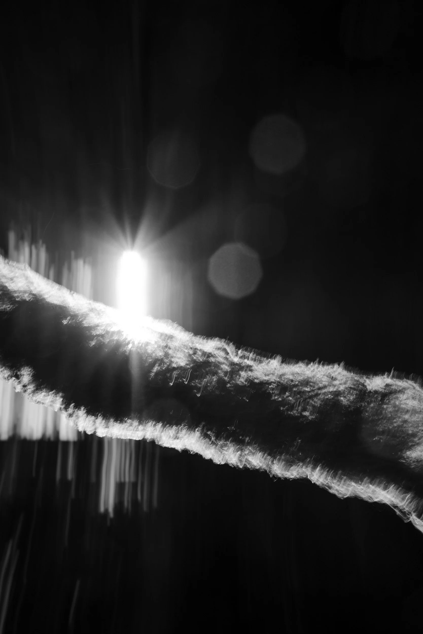 Black-and-white photograph from the Wuduland series, depicting a natural environment with soft motion blur and high-contrast light.