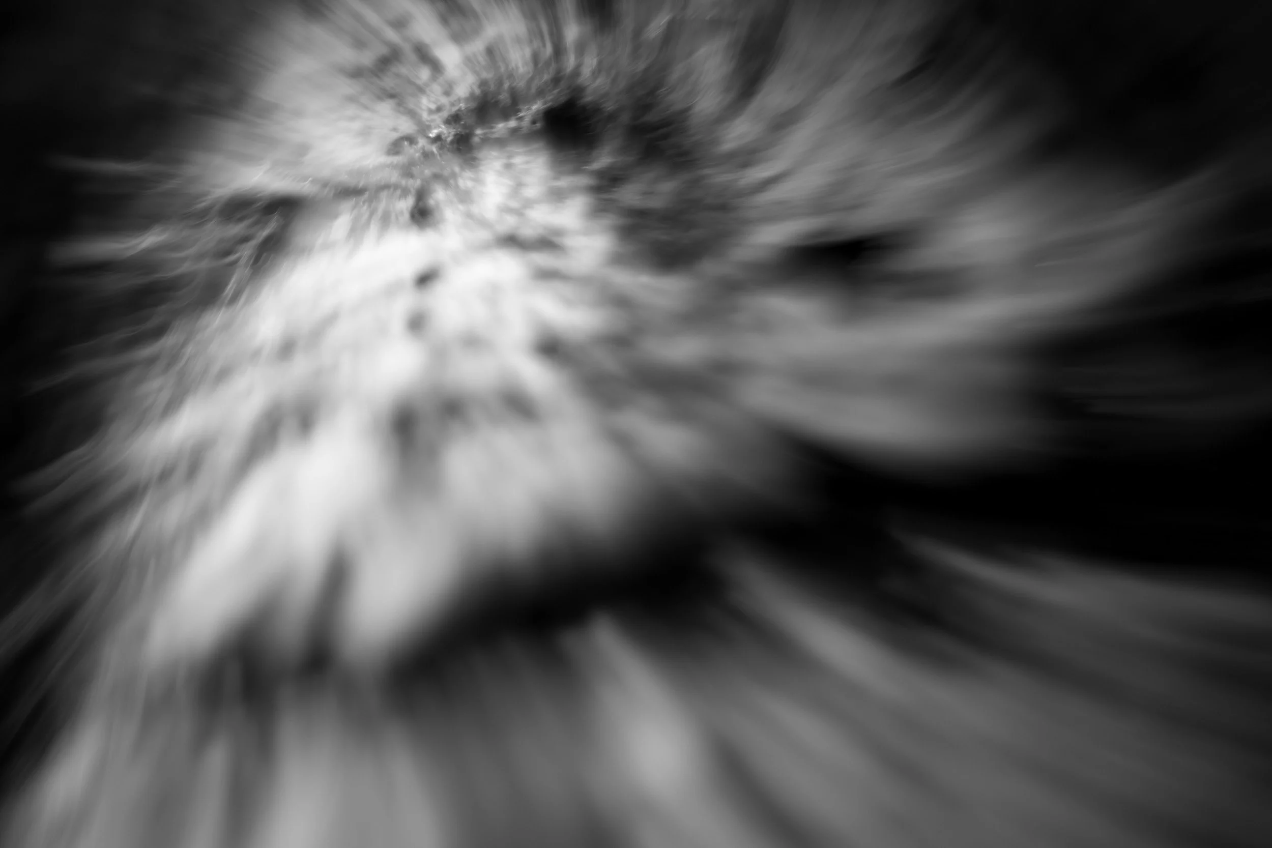 Black-and-white experimental photograph from the Wuduland series.