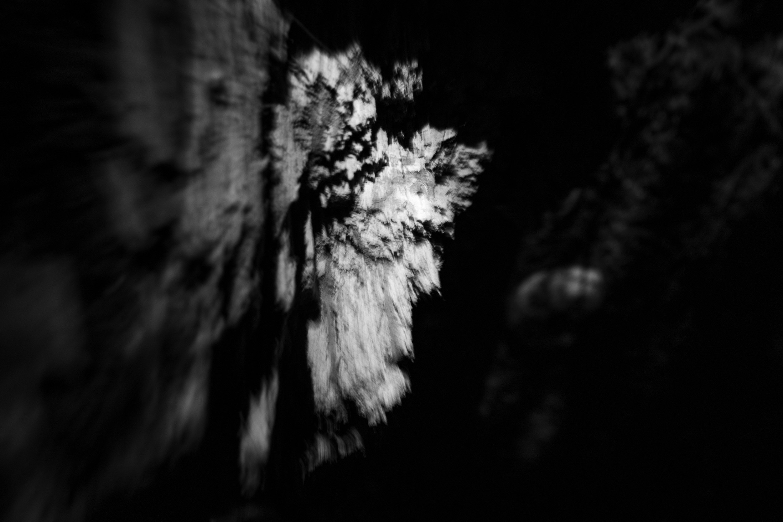 Black-and-white experimental photograph from the Wuduland series.