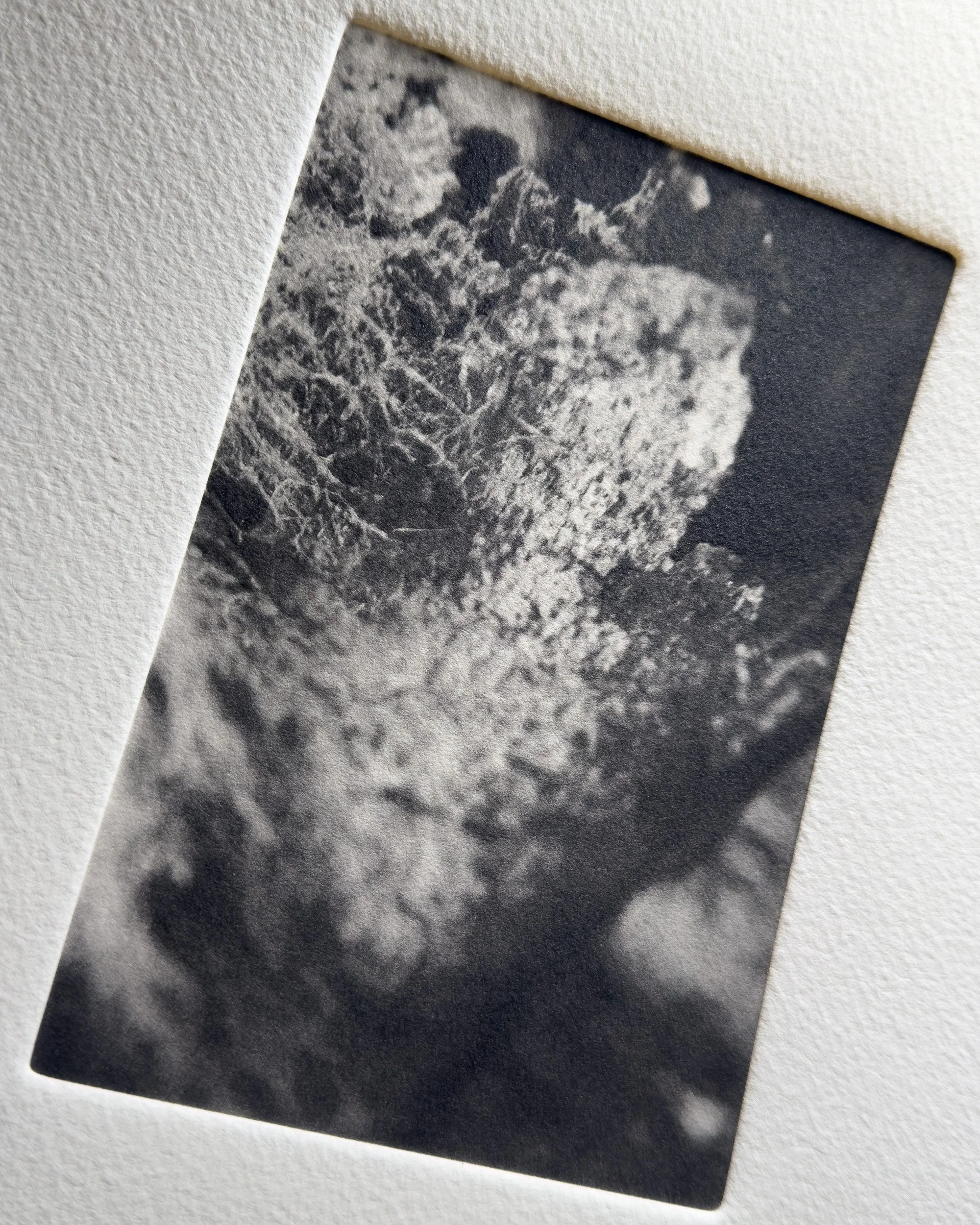 Photogravure print from the Wuduland series.