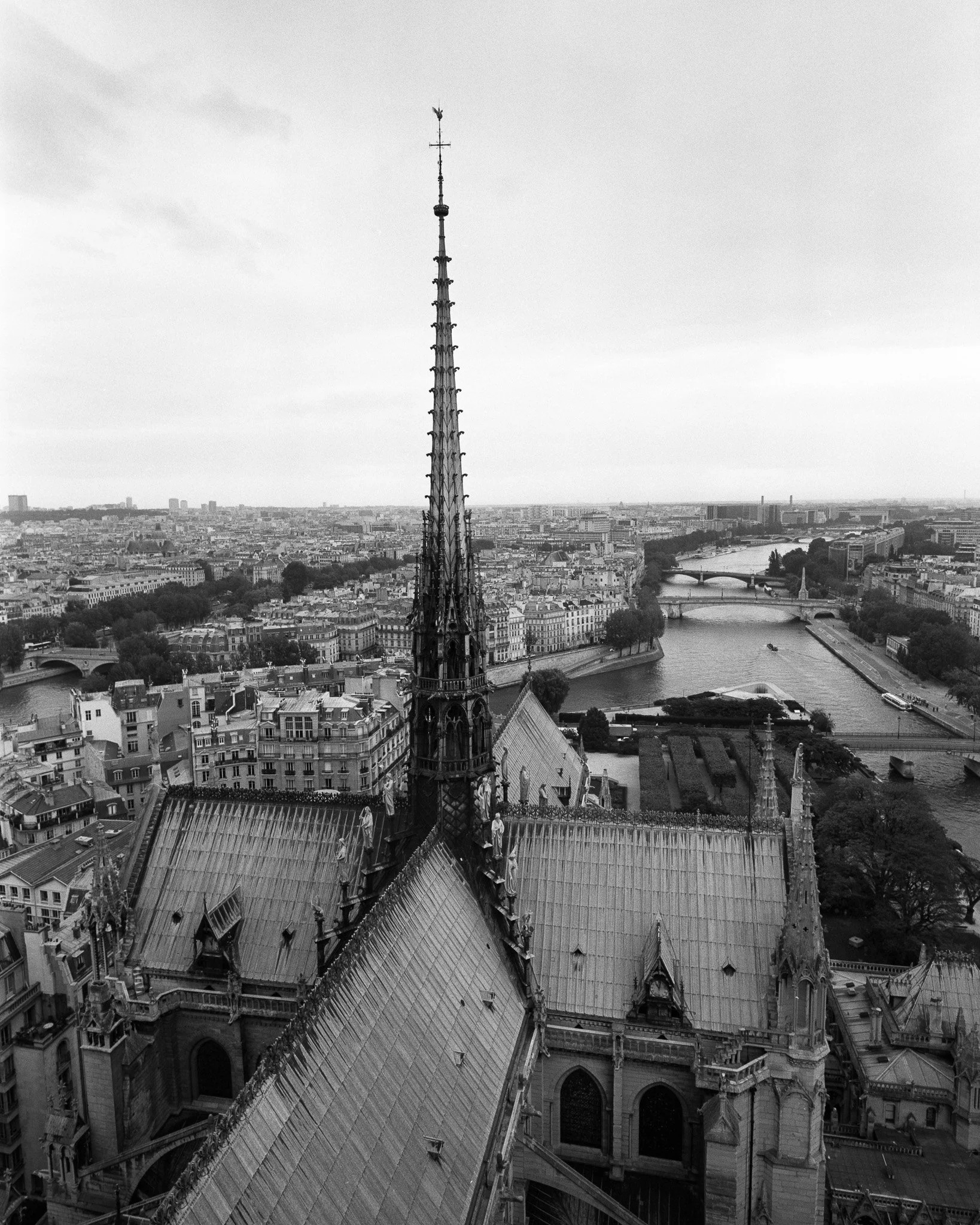 Black-and-white photograph of the Notre Dame spire, Paris.