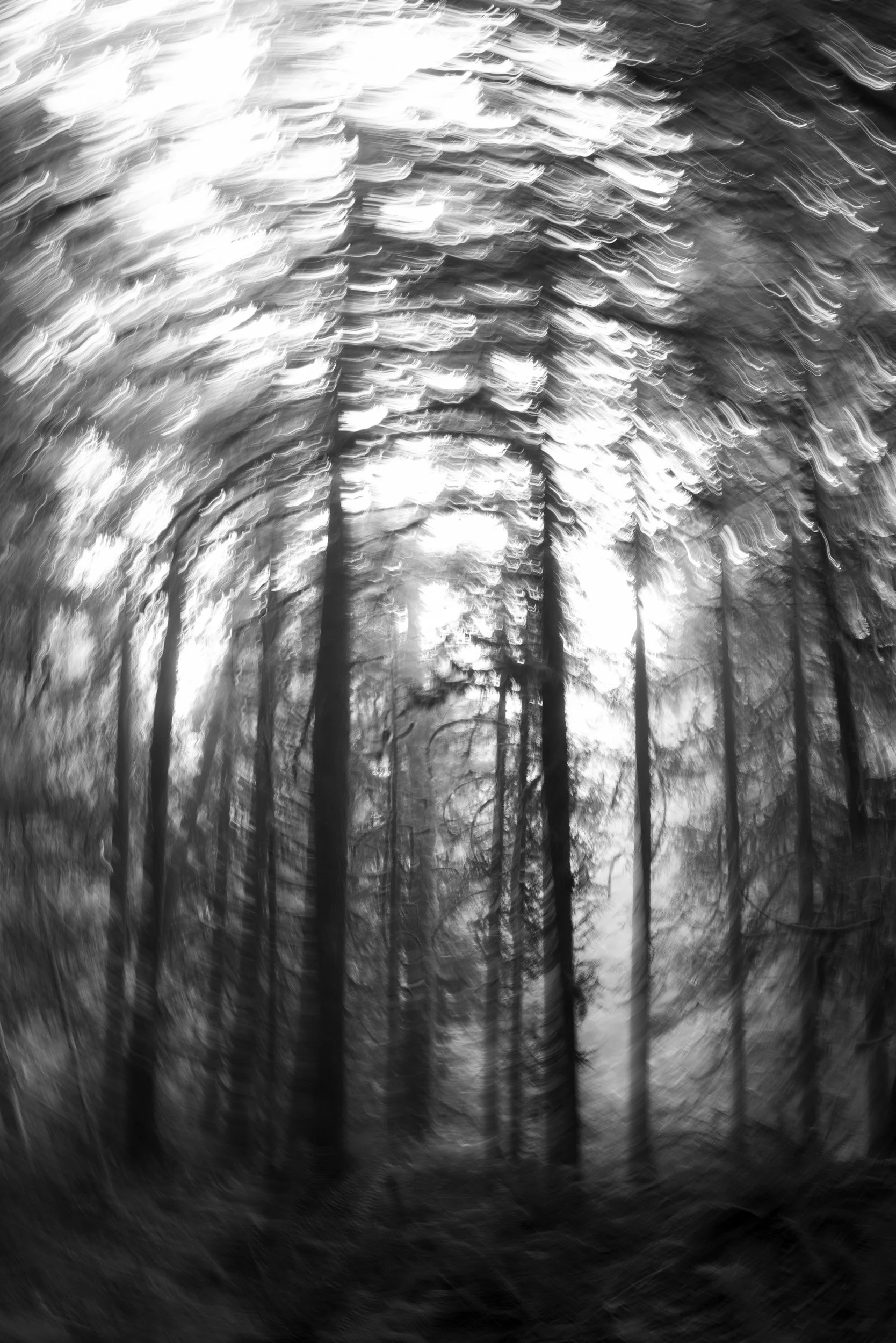 Black-and-white experimental photograph from the Wuduland series.