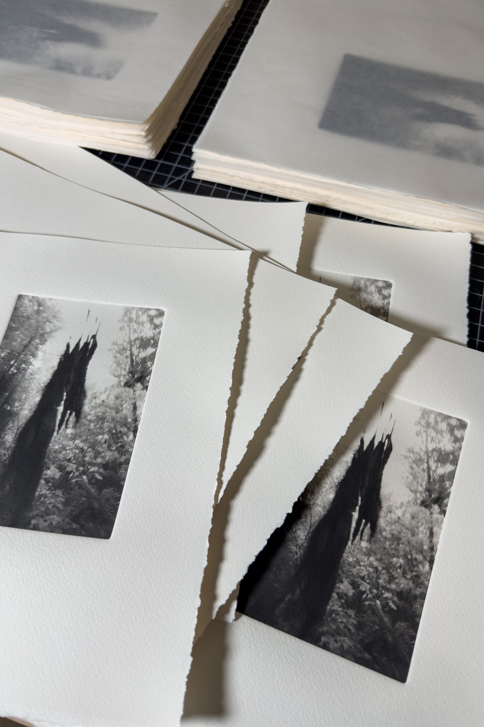 Photogravure prints interleaved and stacked from Wuduland series.