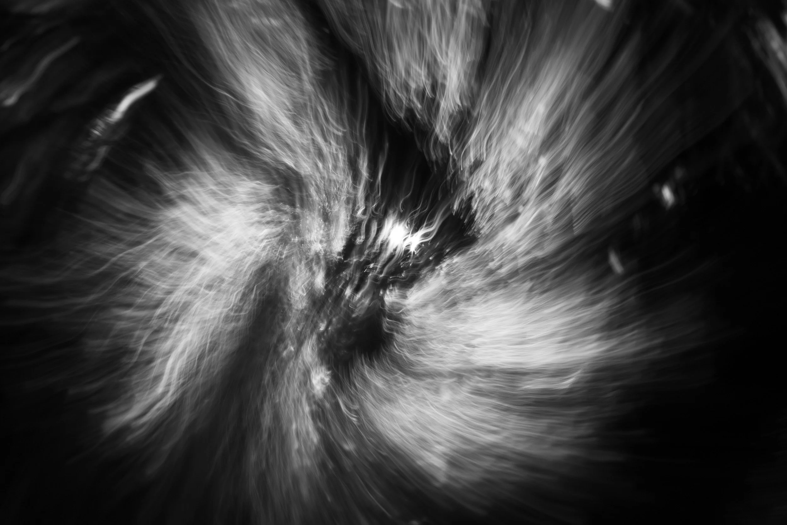 Black-and-white experimental photograph from the Wuduland series.