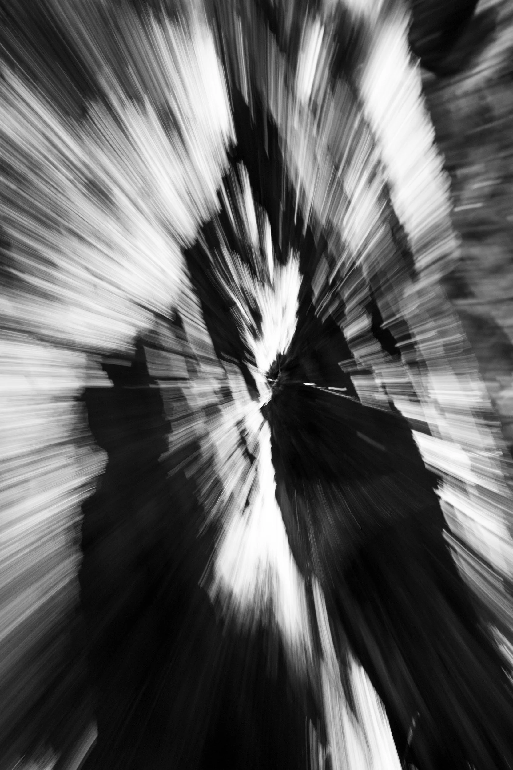 Black-and-white experimental photograph from the Wuduland series.