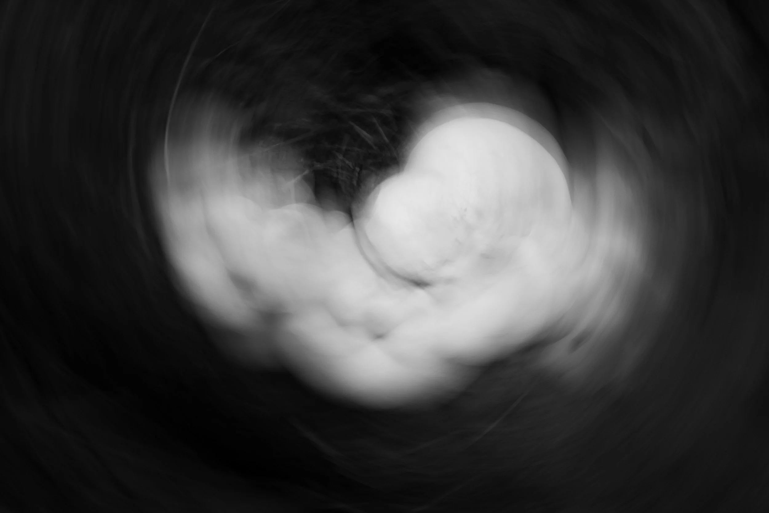 Black-and-white experimental photograph from the Wuduland series.