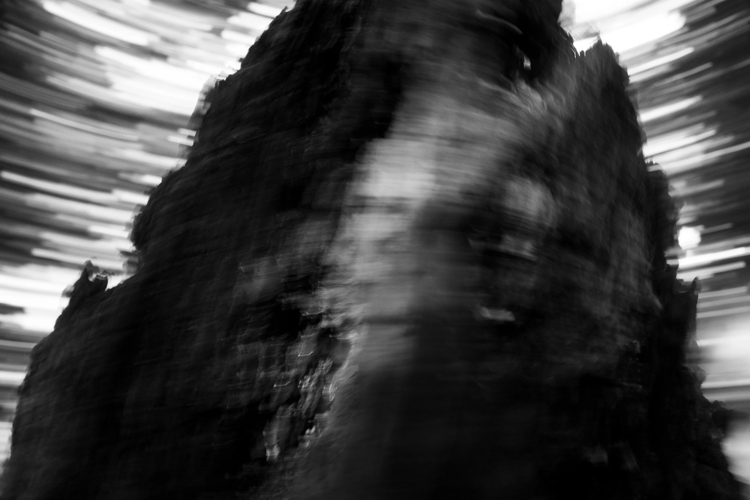 Black-and-white photograph from the Wuduland series, depicting a natural environment with soft motion blur and high-contrast light.