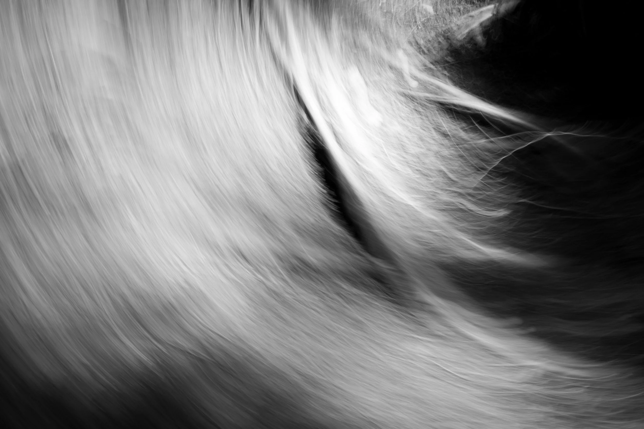 Black-and-white experimental photograph from the Wuduland series.