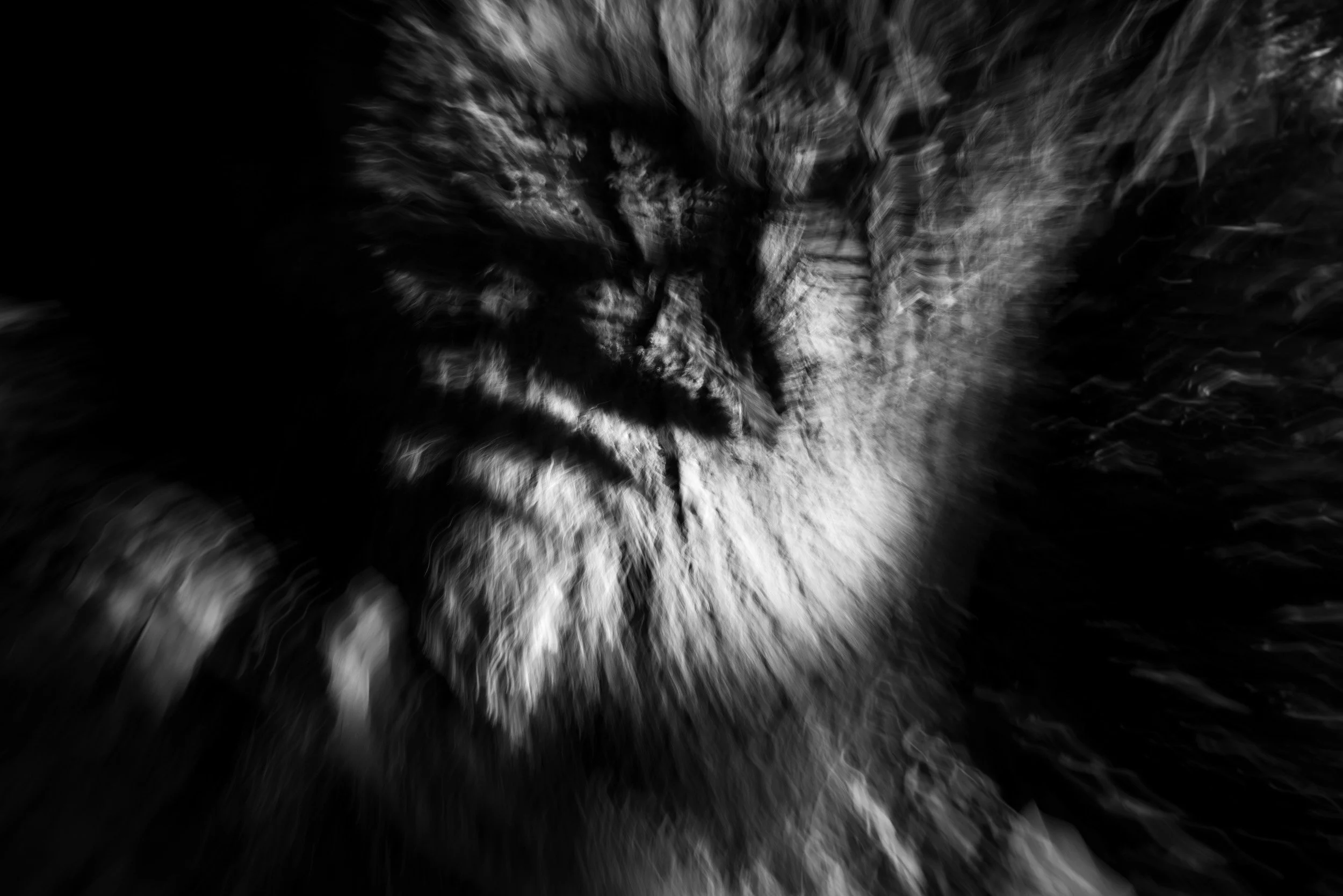 Black-and-white experimental photograph from the Wuduland series.