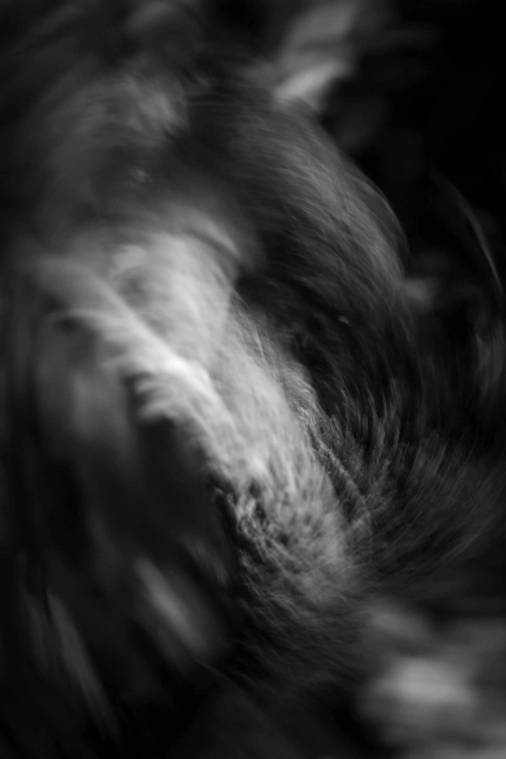 Black-and-white experimental photograph from the Wuduland series.