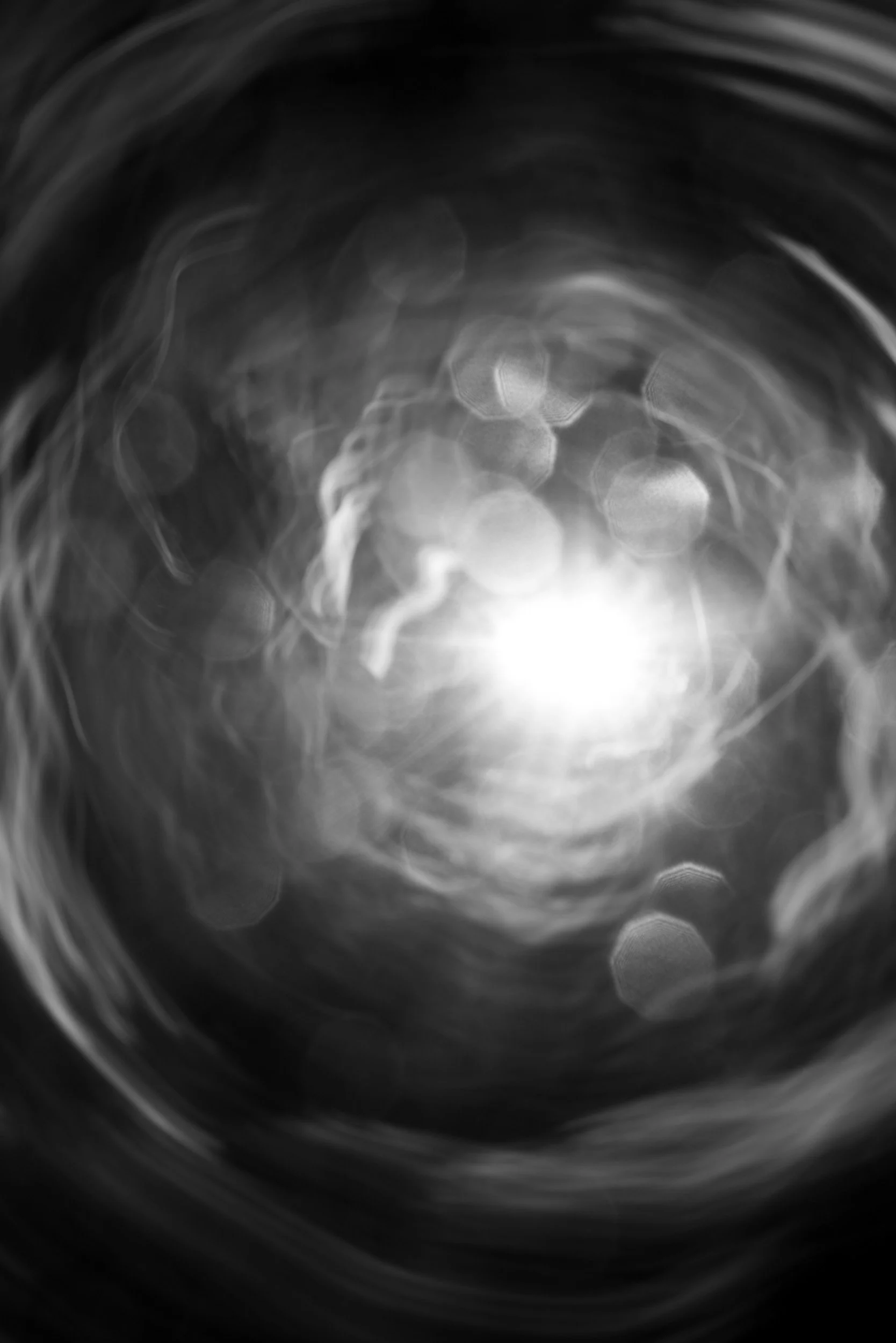 Black-and-white experimental photograph from the Wuduland series.