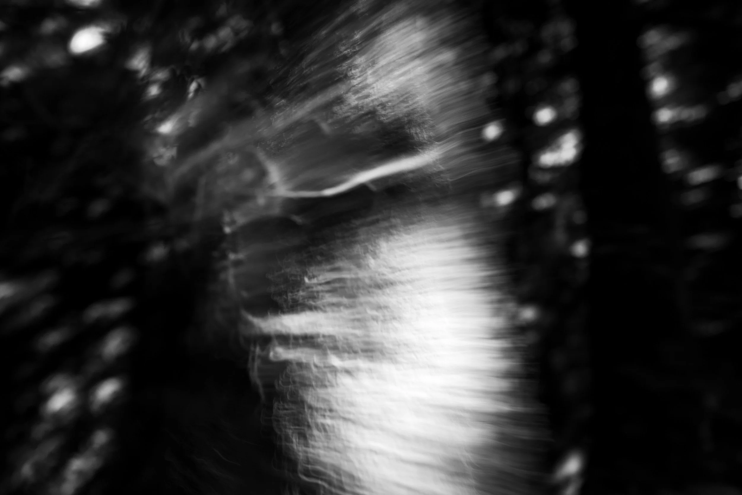 Black-and-white experimental photograph from the Wuduland series.