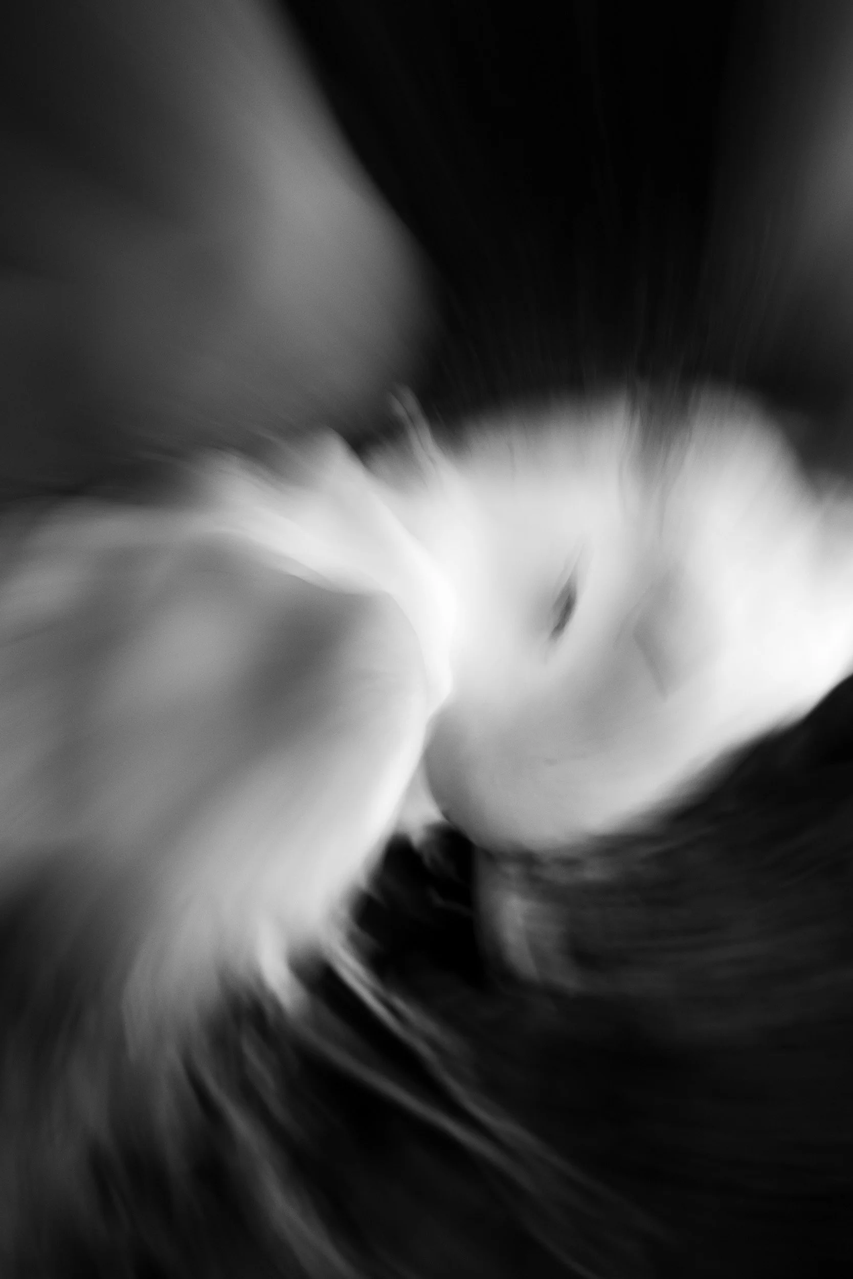 Black-and-white photograph from the Wuduland series, depicting a natural environment with soft motion blur and high-contrast light.