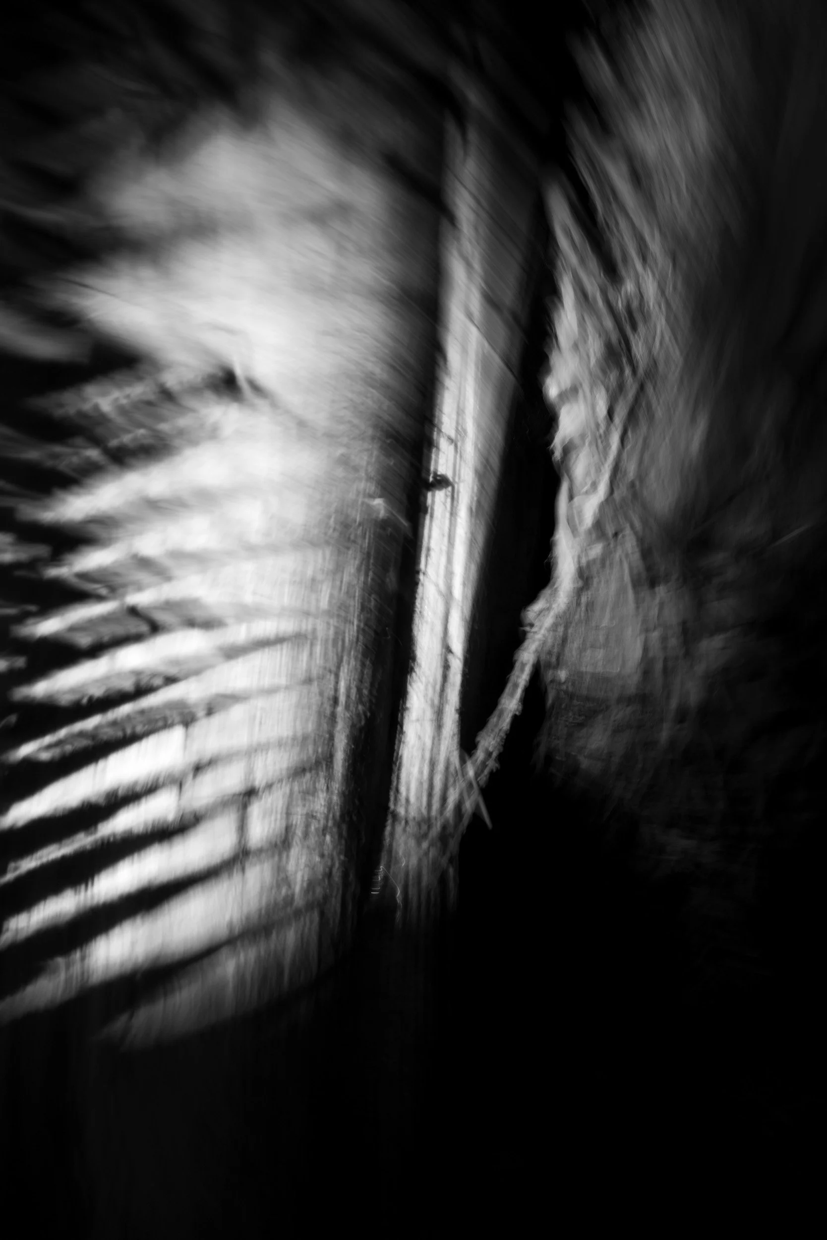 Black-and-white experimental photograph from the Wuduland series.