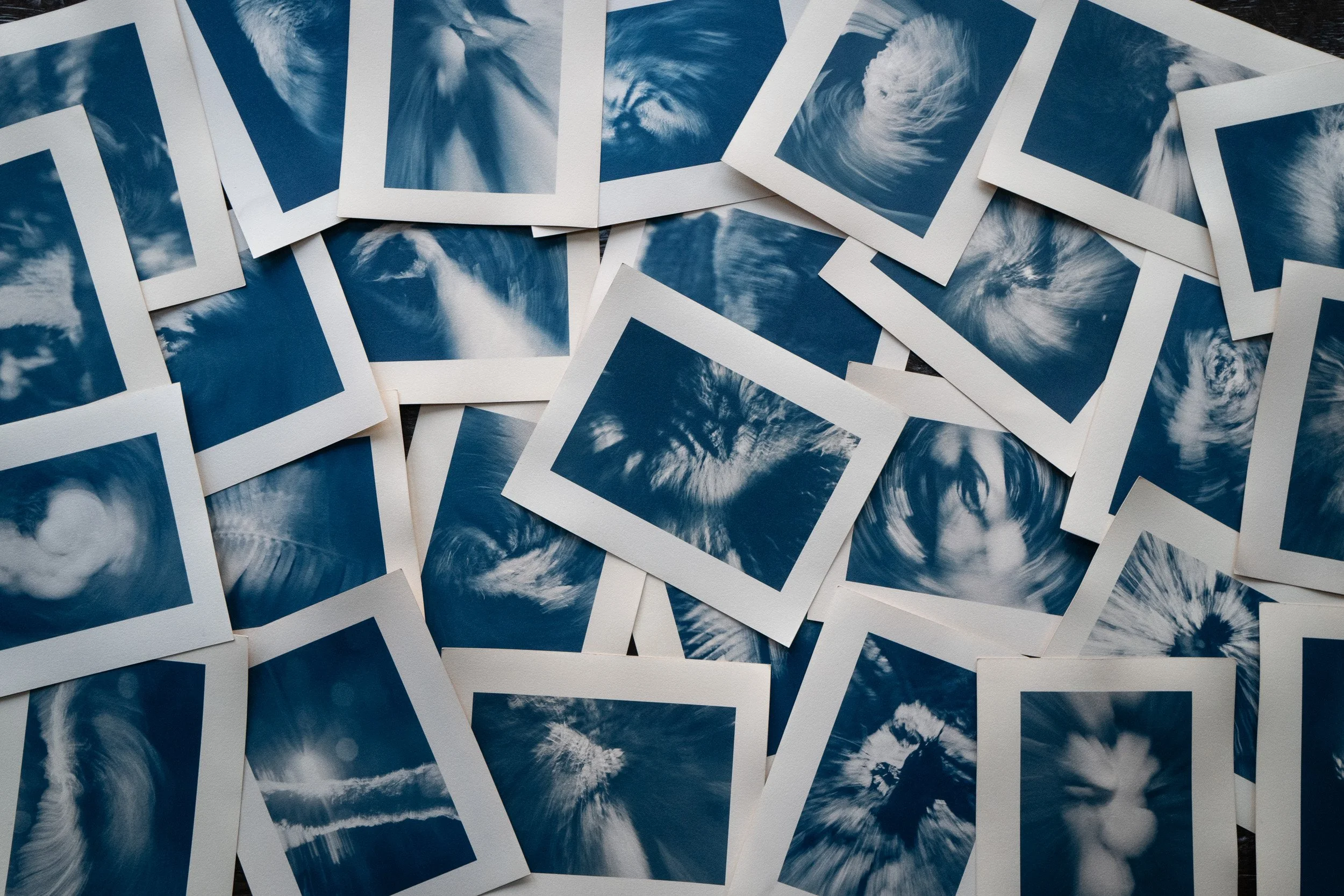 Cyanotype prints from the Wuduland series.