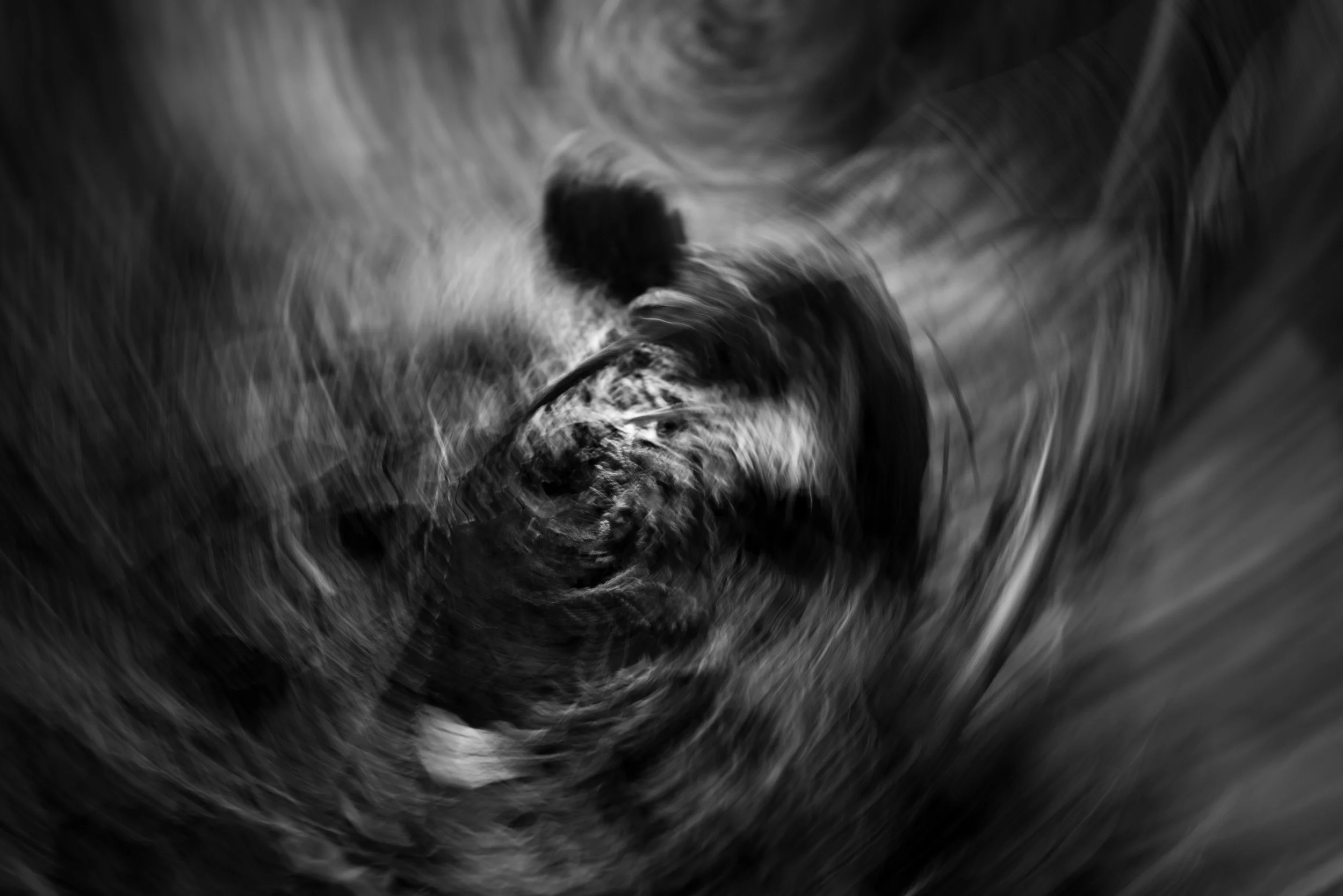 Black-and-white experimental photograph from the Wuduland series.