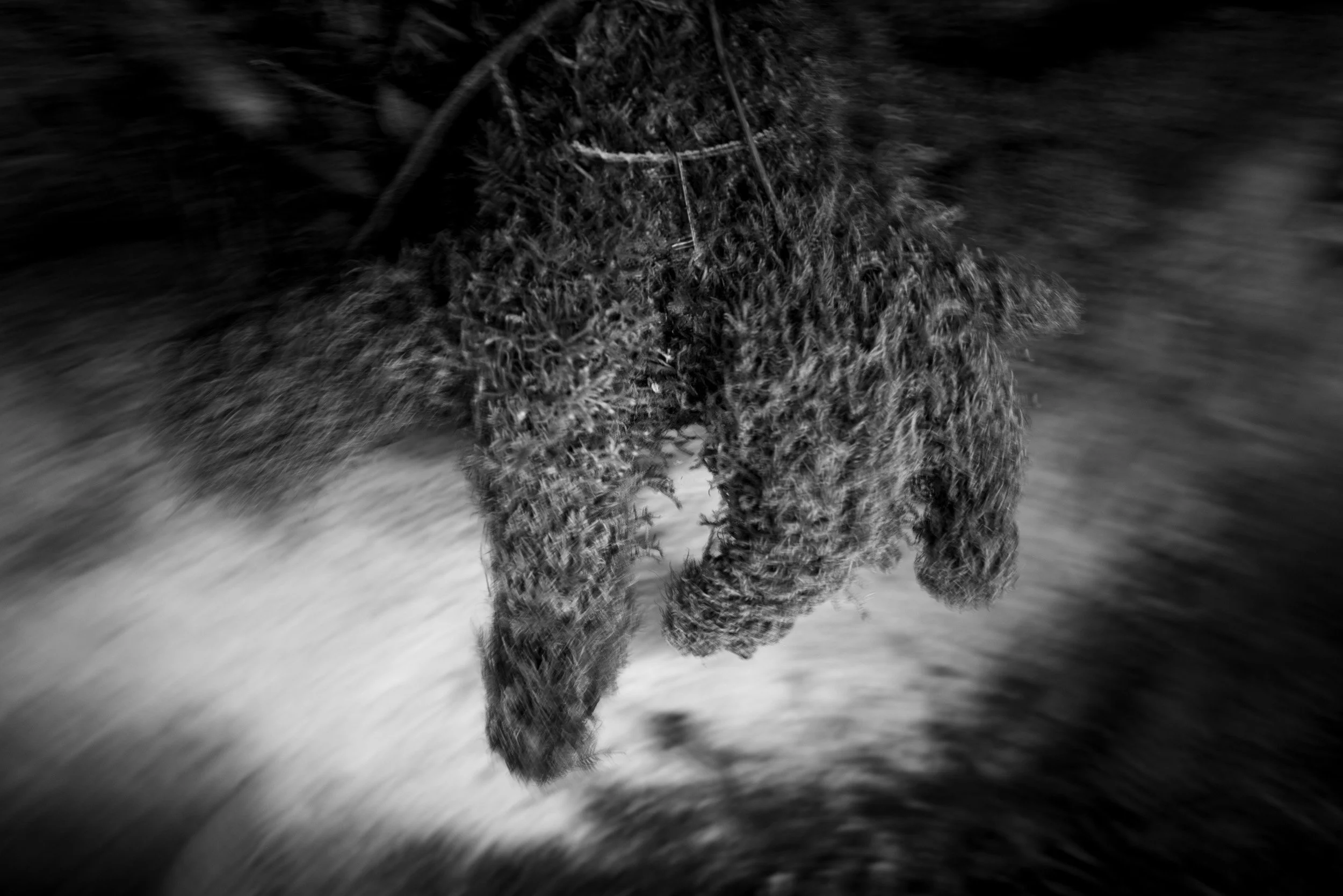 Black-and-white experimental photograph from the Wuduland series.