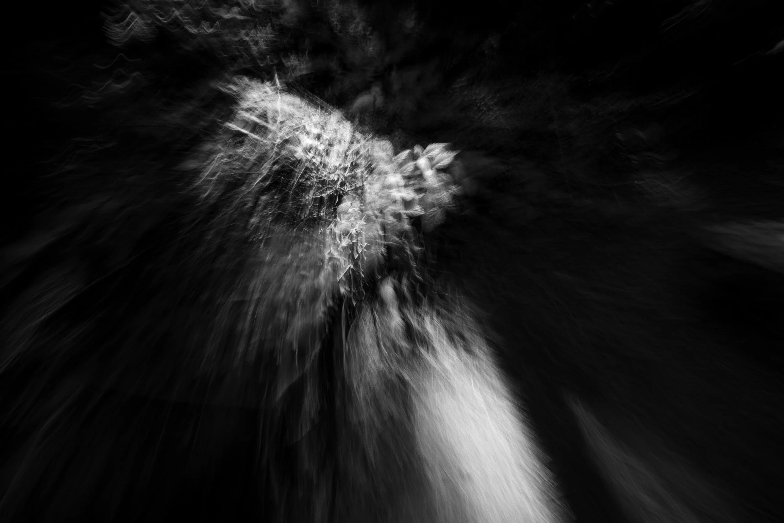 Black-and-white experimental photograph from the Wuduland series.
