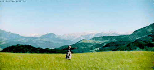 giphy (20).gif
