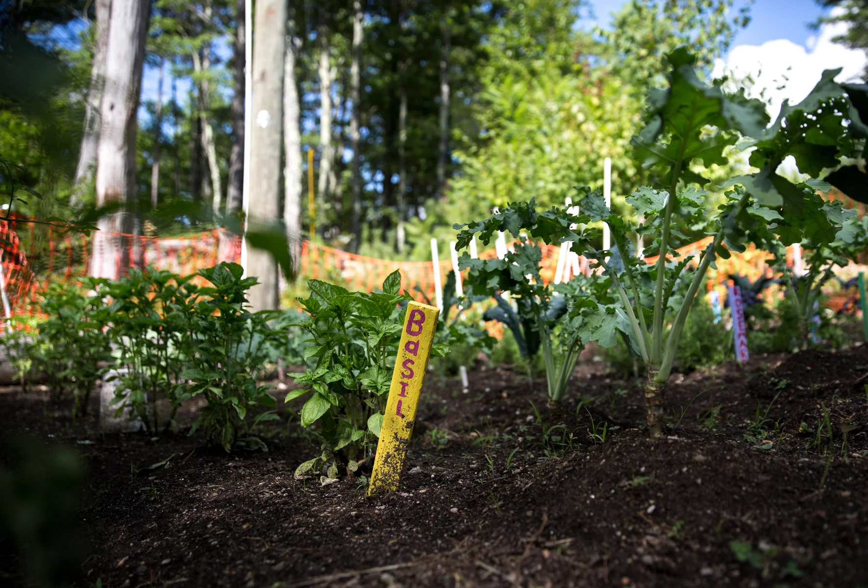 2015BeamCamp_EWP (26).jpg