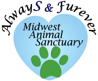 Midwest Animal Sanctuary.png