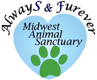 Logo for Always & Forever Midwest Animal Sanctuary featuring a light blue heart, black and blue text, and a green paw print.- Catering Chef Kansas City