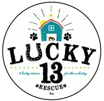 lucky-thirteen-catering-kansas-city-chef-kansas-city-corporate-catering.webp