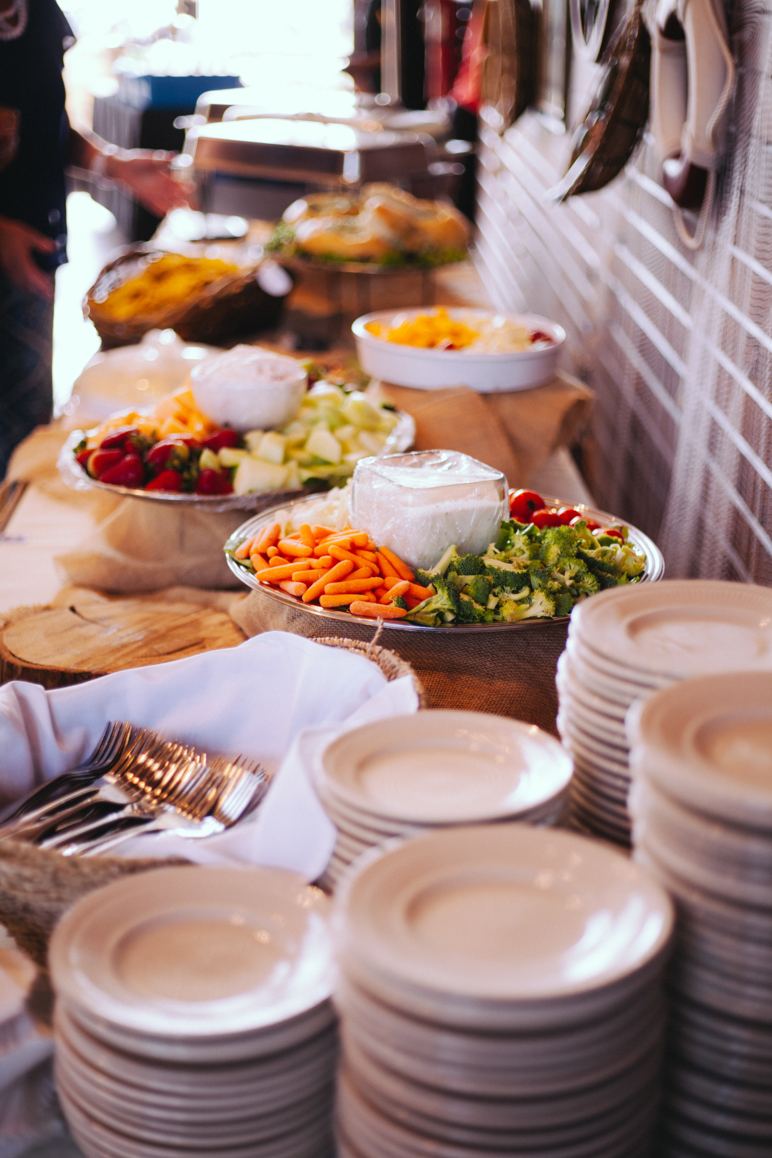 Brock_Tayler_Norwood_Wedding_2015_Pointes_West_Appling055.jpg