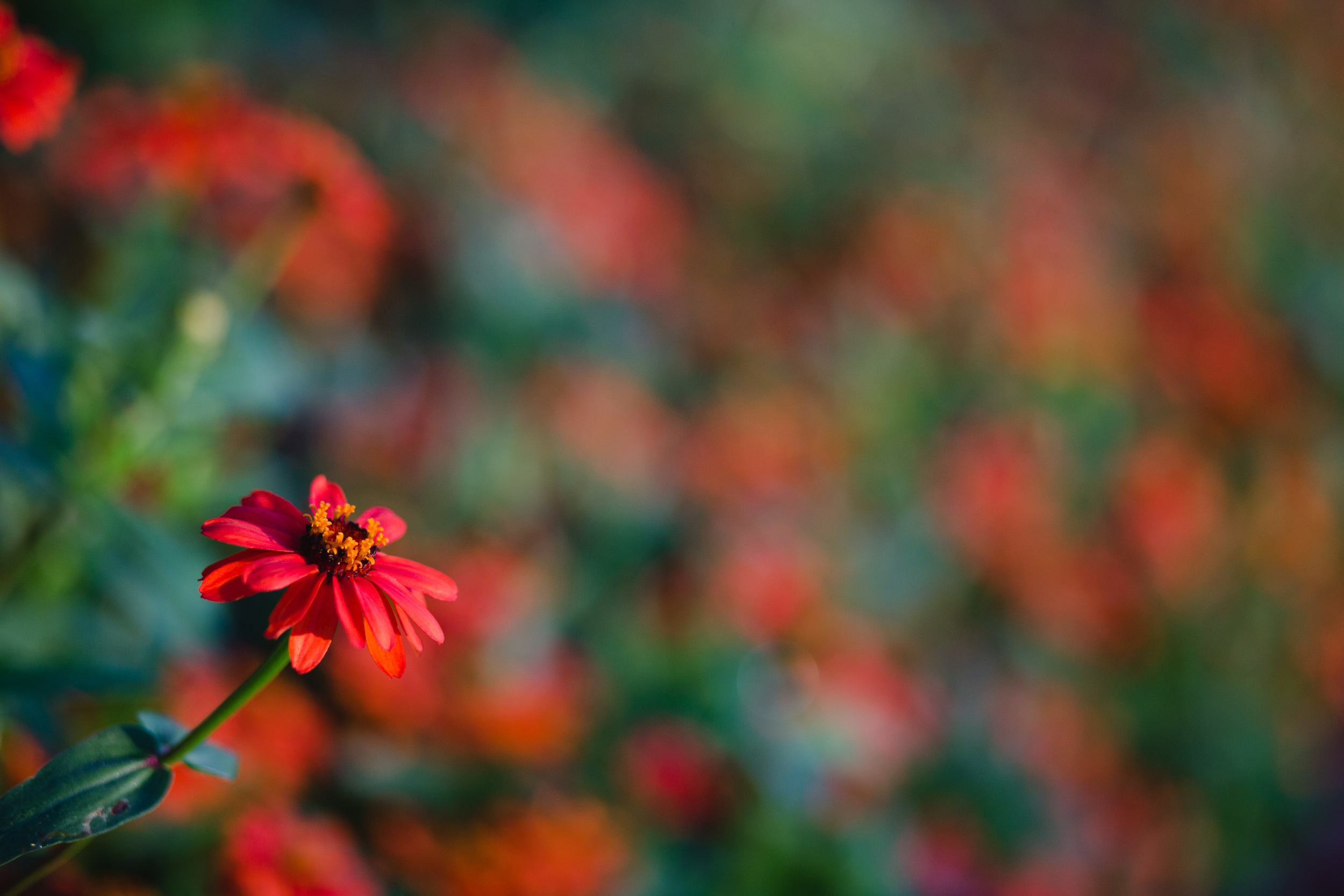 7R3B0429.jpg