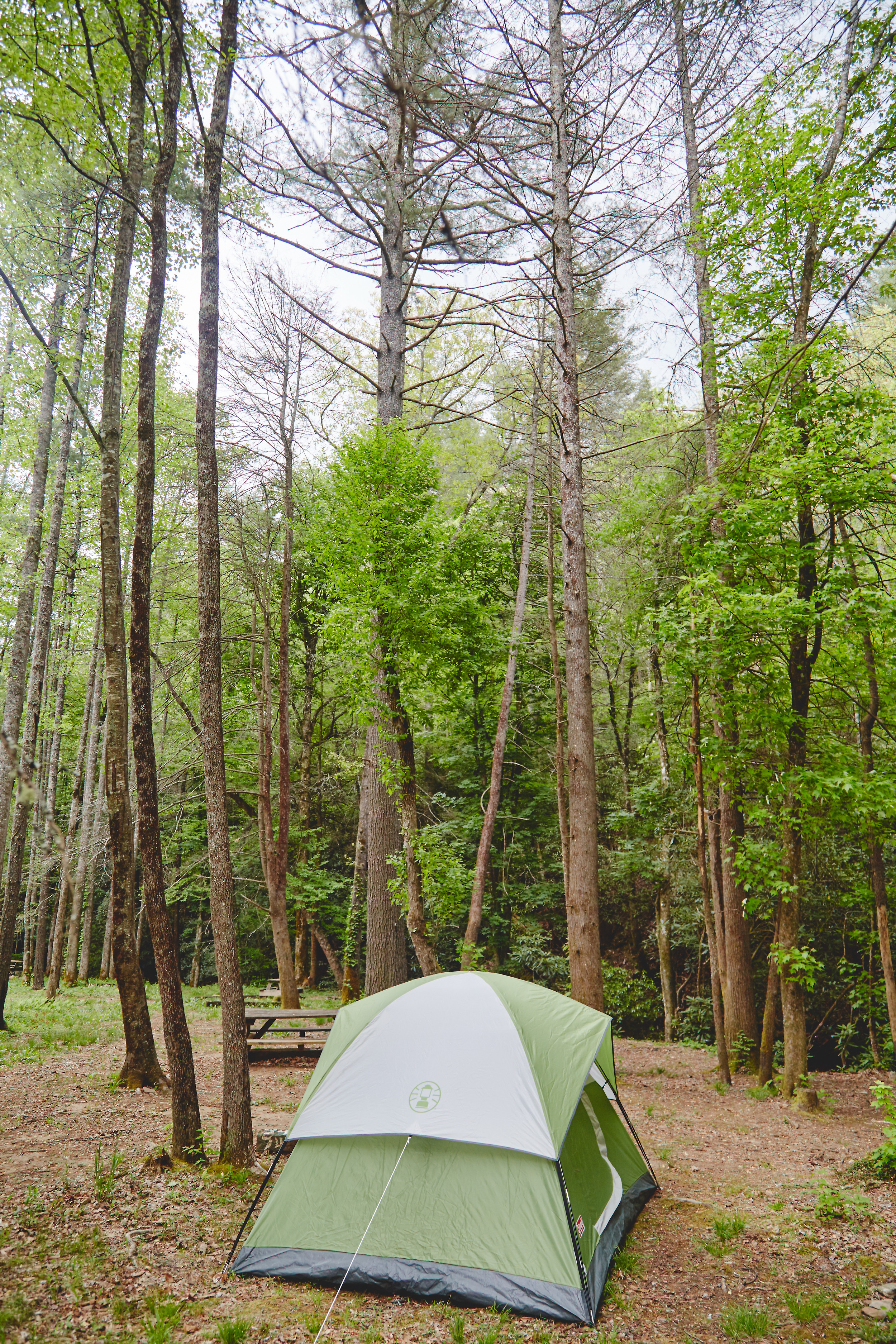 Helen_Georgia_2014_Camping_537.jpg