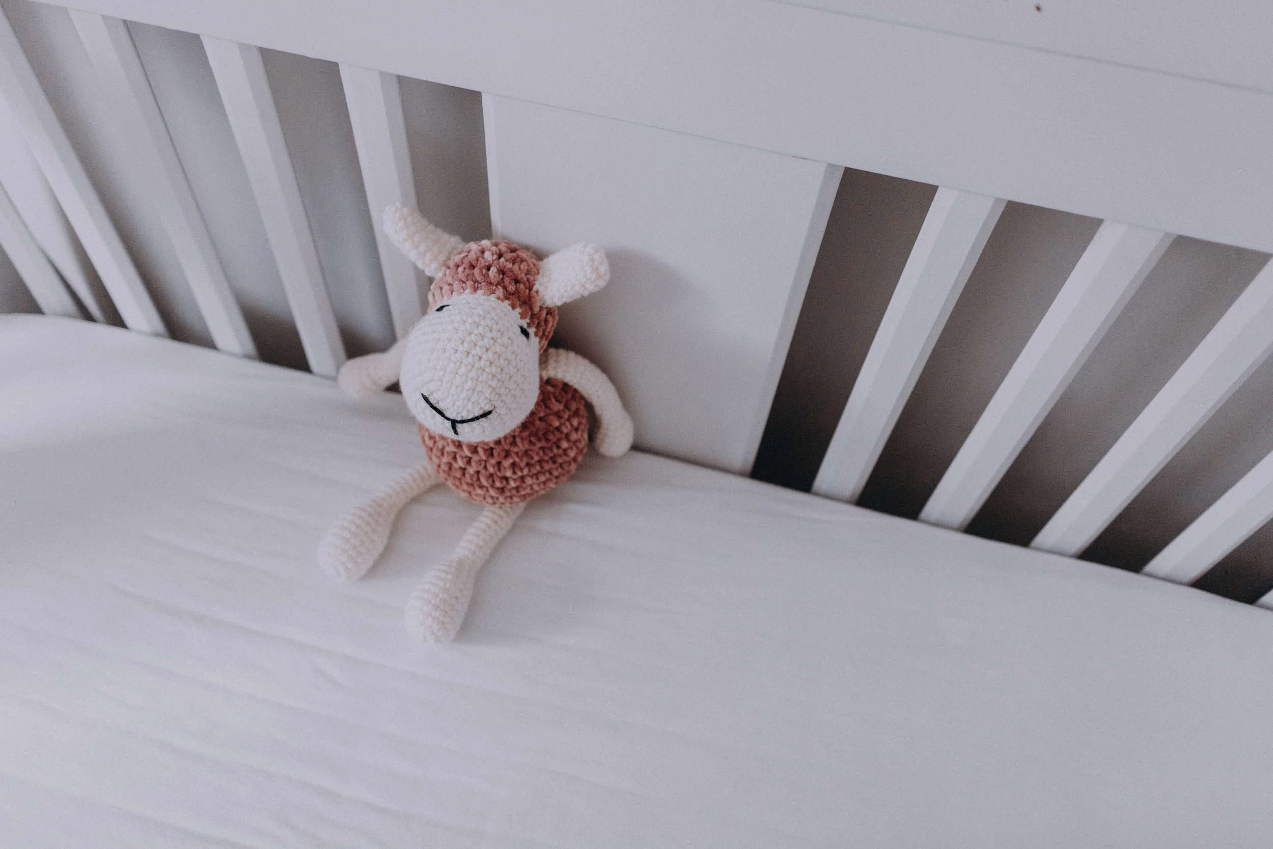 Eleanor_Mae_2019_001.jpg