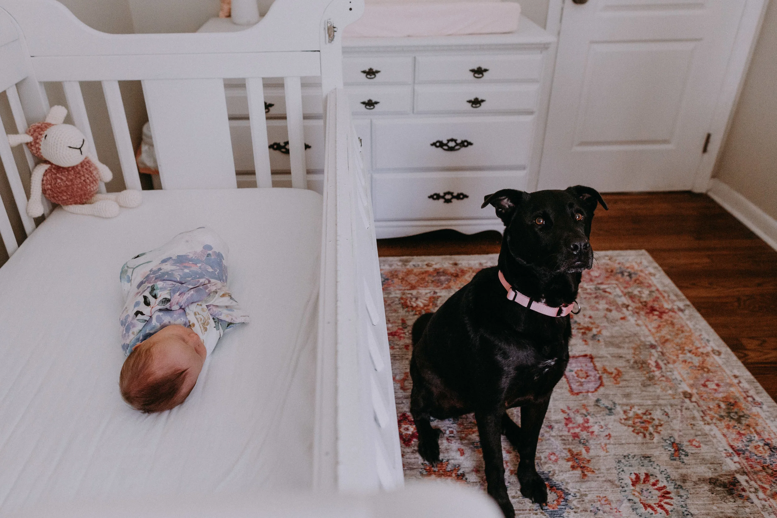 Eleanor_Mae_2019_021.jpg
