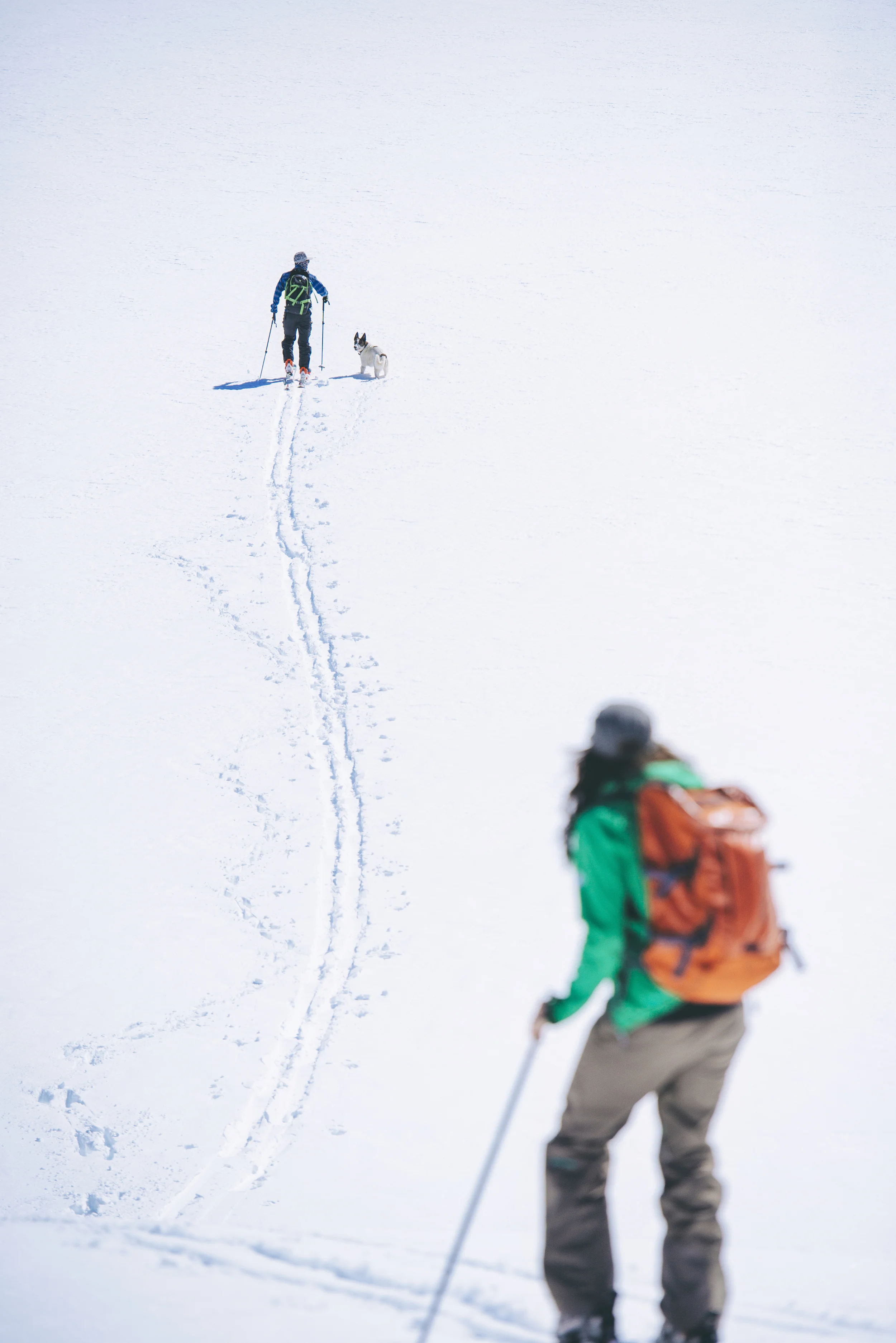 20150307_BG_0068.jpg
