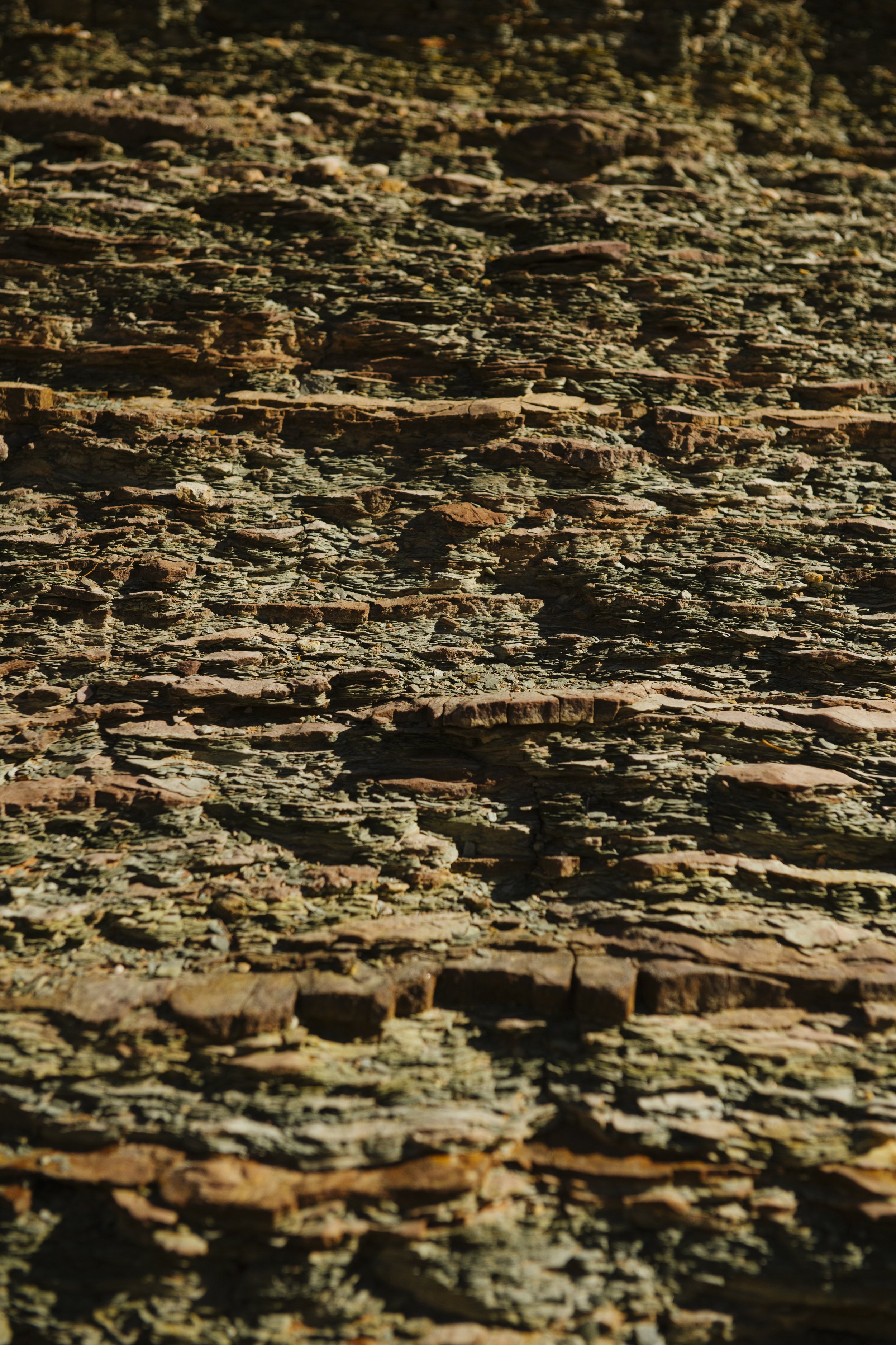 220526_GrandCanyon_BG_003347.JPG
