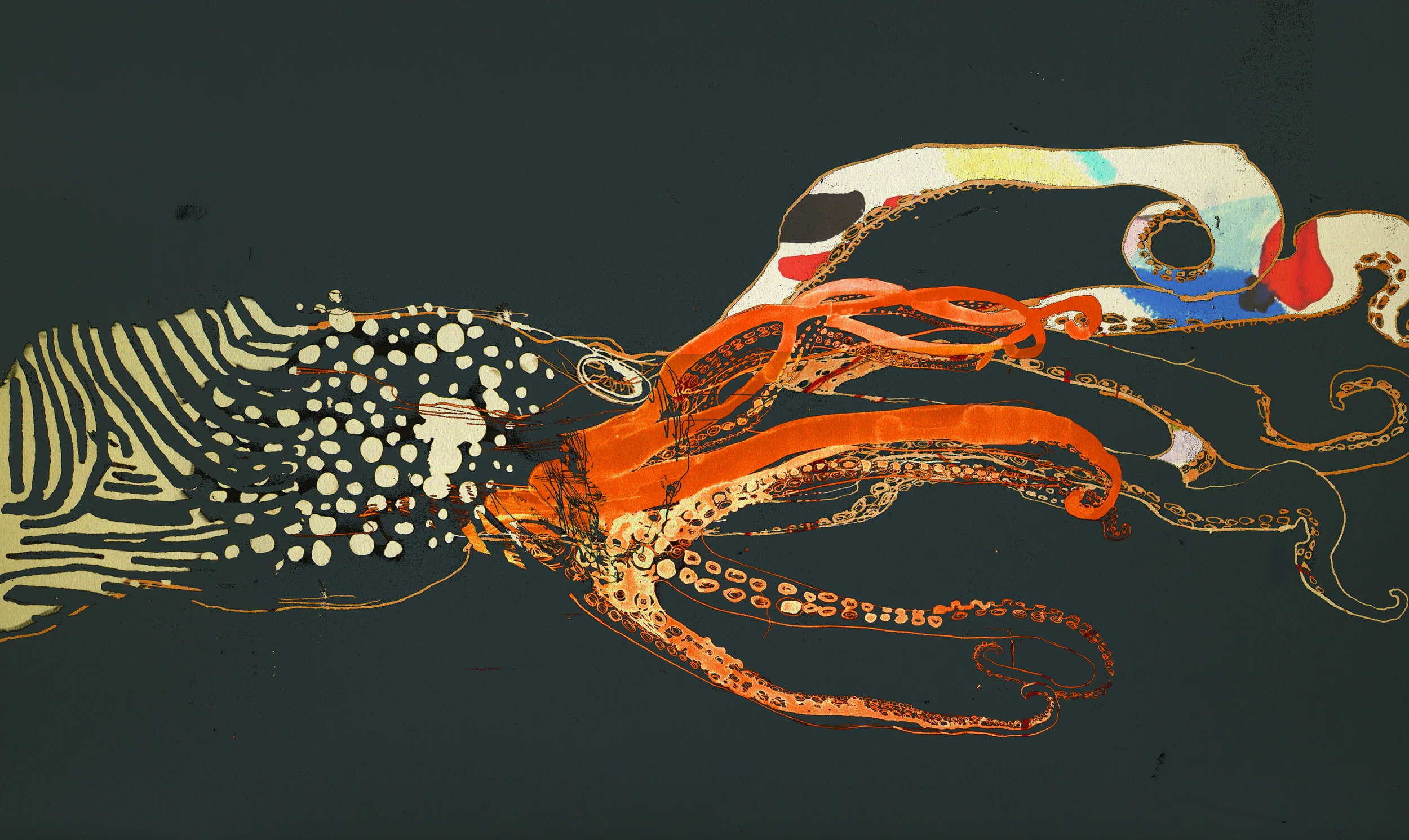 Rainbow Octopus