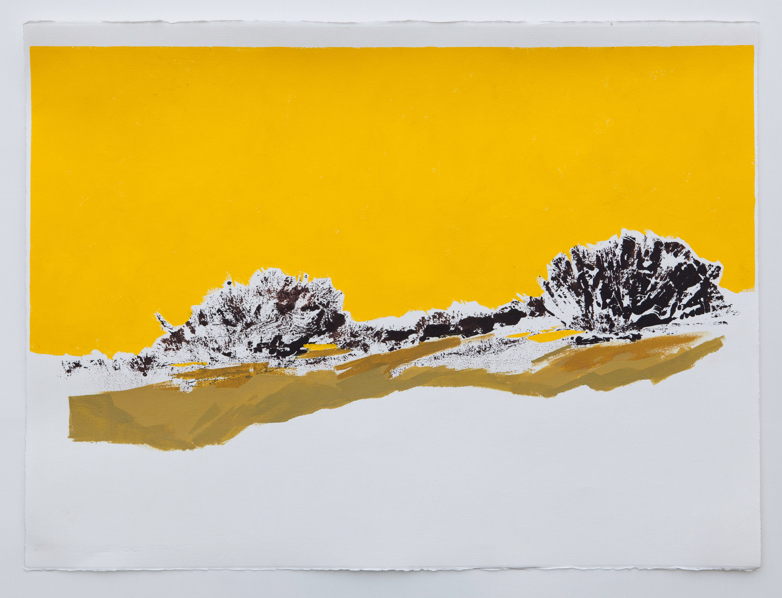   Yellow Sky Landscape  - 2014 -   Acrylic and mixed media on cotton, rag paper - 22 x 30 inches /&nbsp; 56 x 75 cm (Framed - White box frame) 