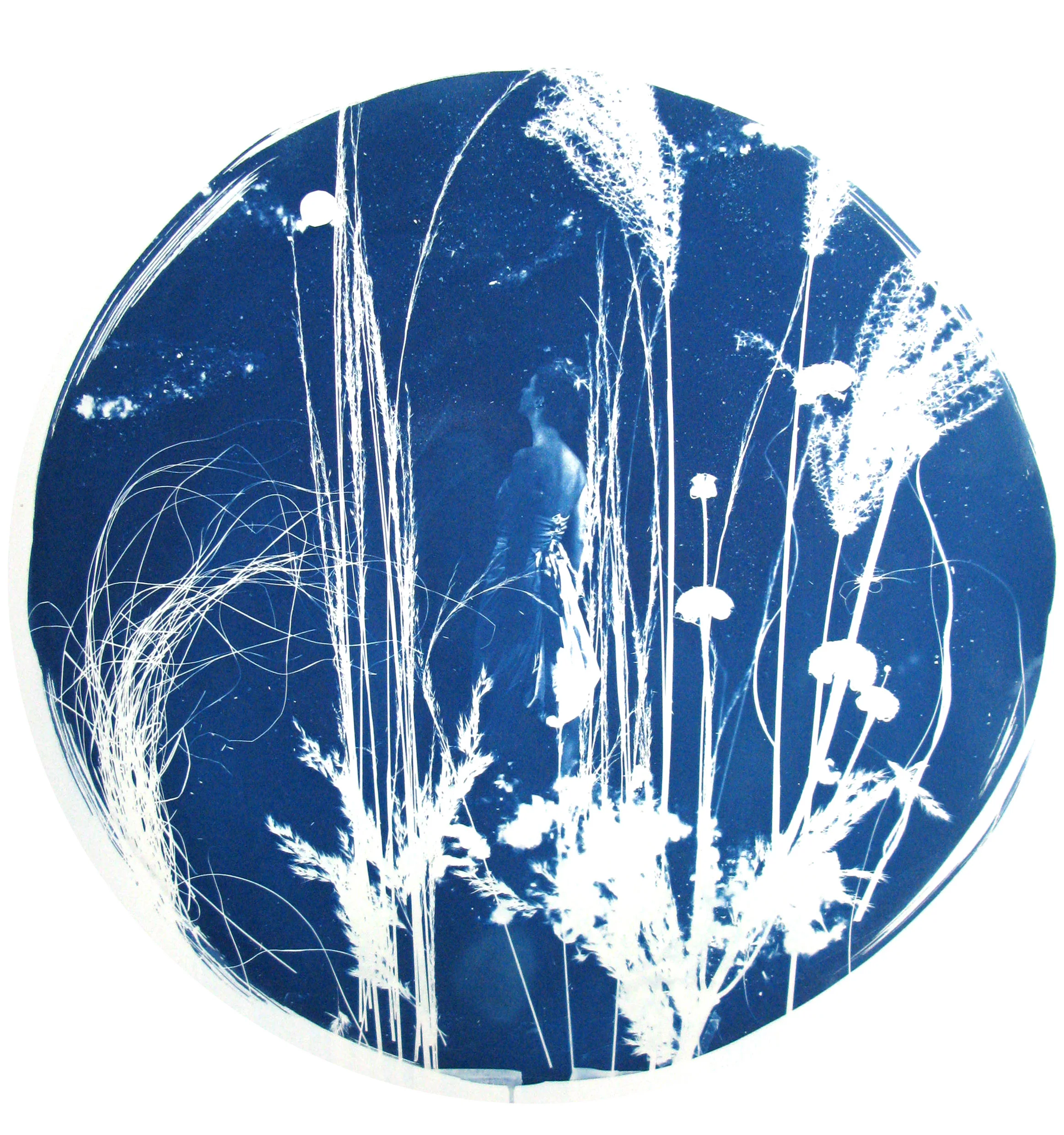 Cecily and the Moon - 2015 - Original hand painted Cyanotype on Somerset Satin 300 gram printmaking paper, bespoke circular white frame with convex dome Artwork: 30 inches / 70 cm diameter