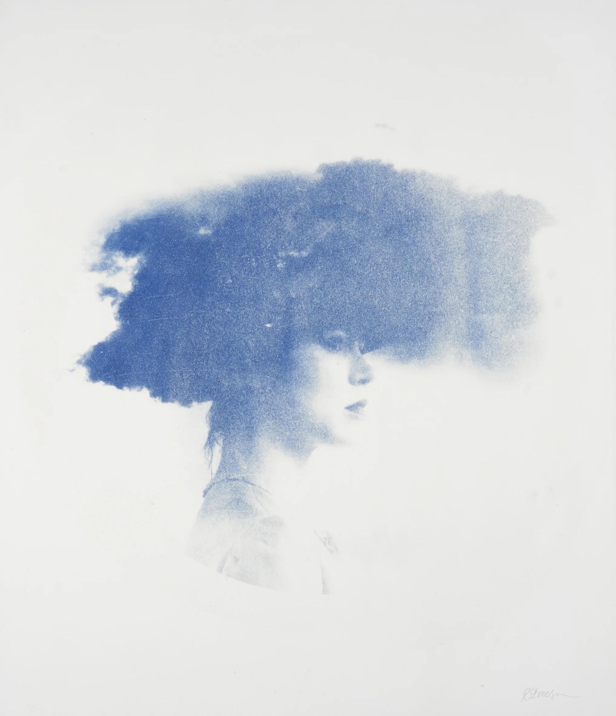 Nephele – Unique Cyanotype on Somerset satin Paper Artwork: 87 x 76 cm 2014