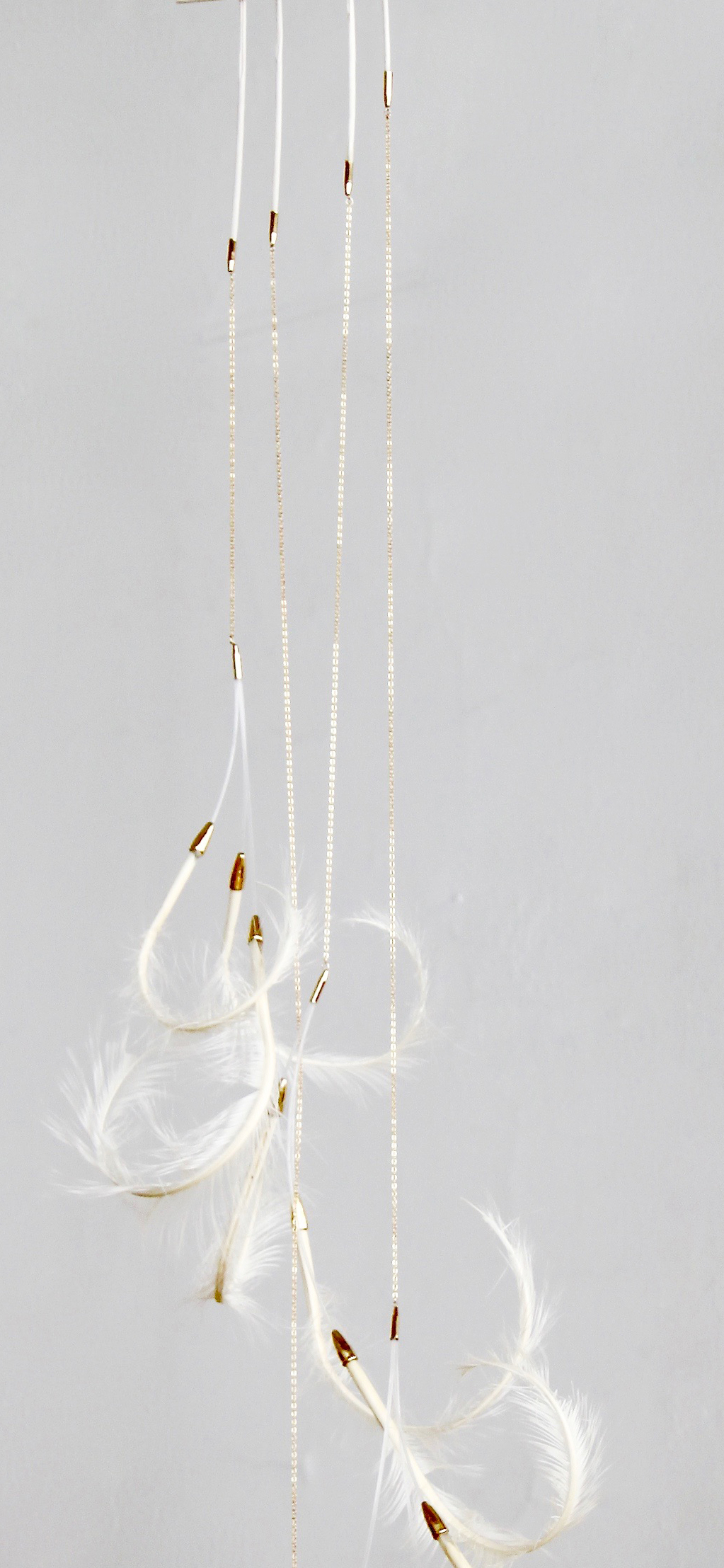 AA05_Blanca_Crop.jpg