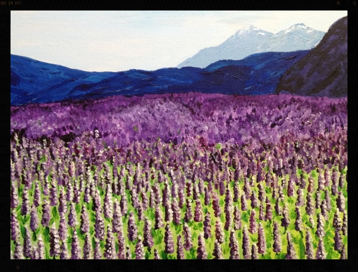 Lupines in Meadow
