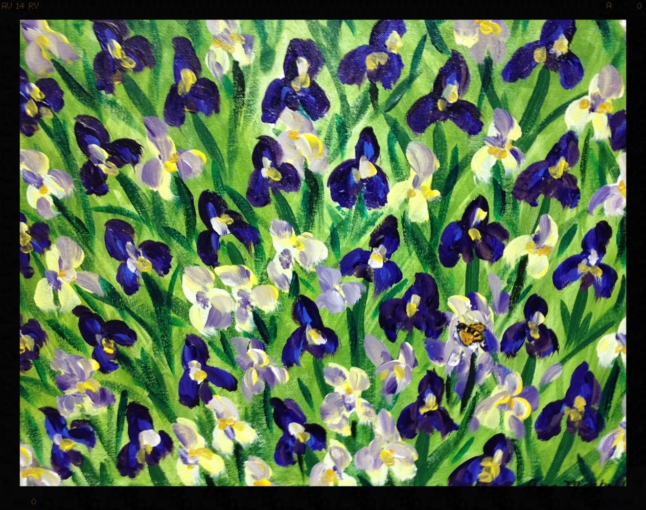 Irises in the Garden 4