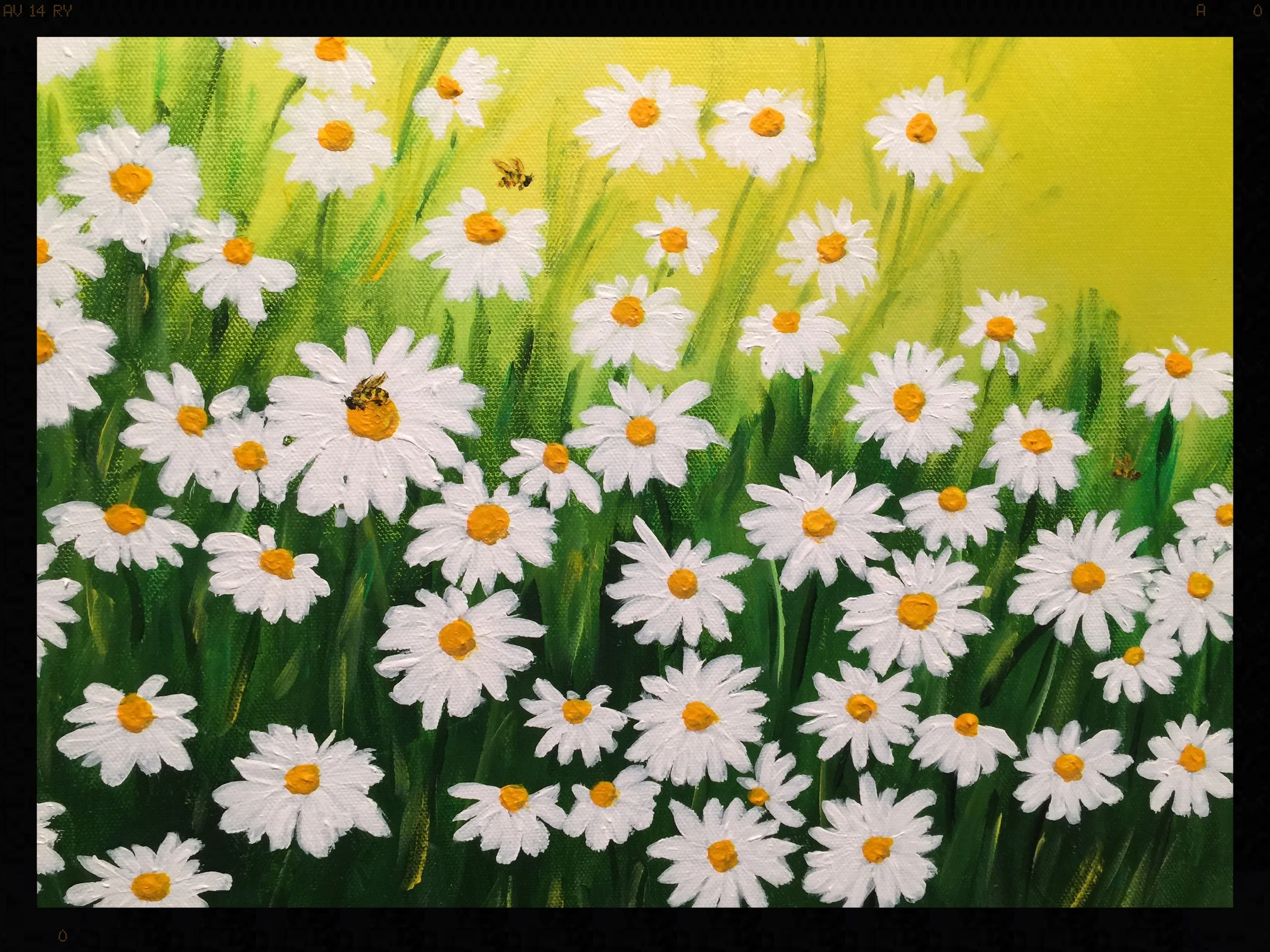 Daisies Two 