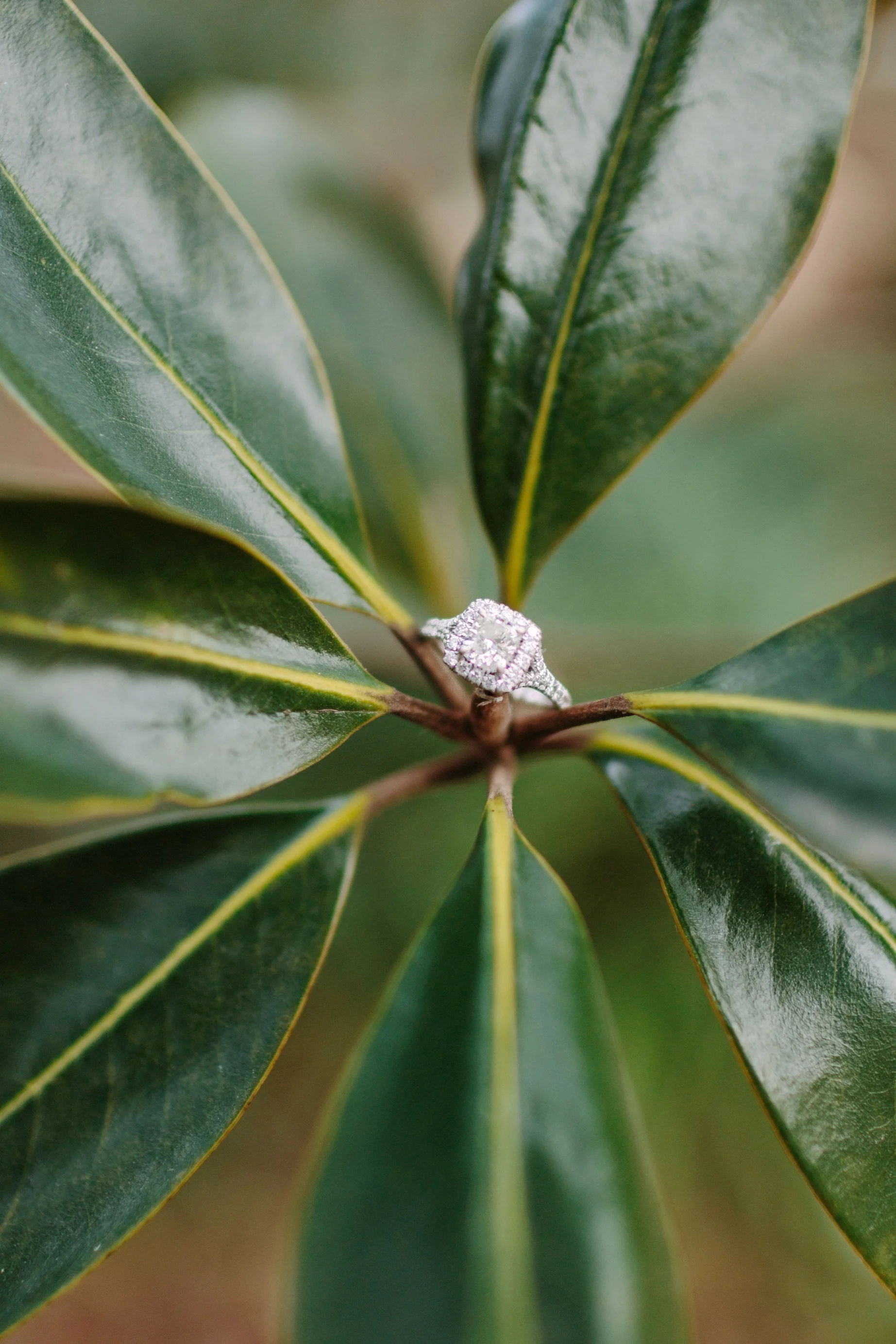 SarahAllemanPhotography-27_WEB.jpg