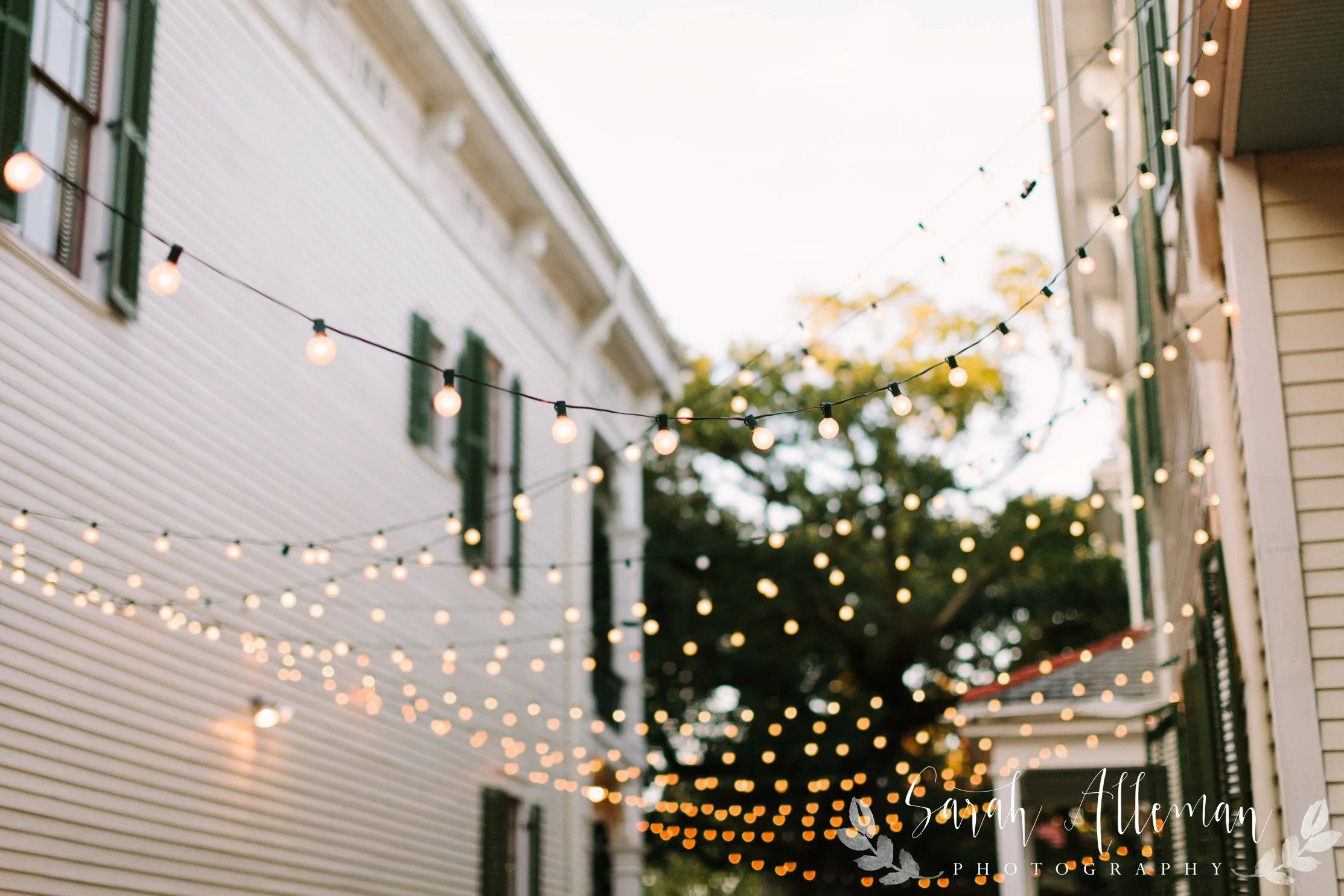 SarahAllemanPhotography-155_WEB.jpg