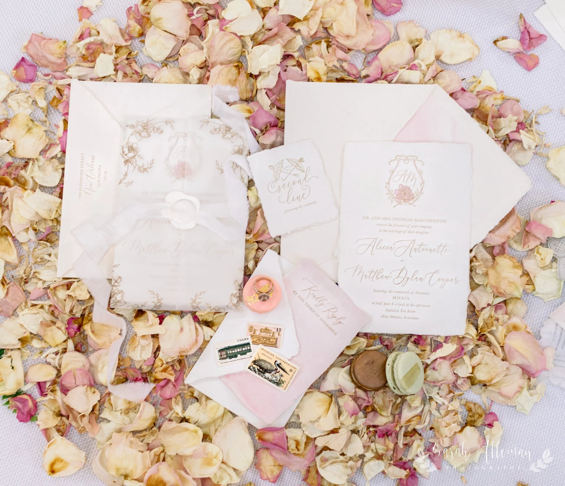 SarahAllemanPhotography-5 (1)_WEB.jpg